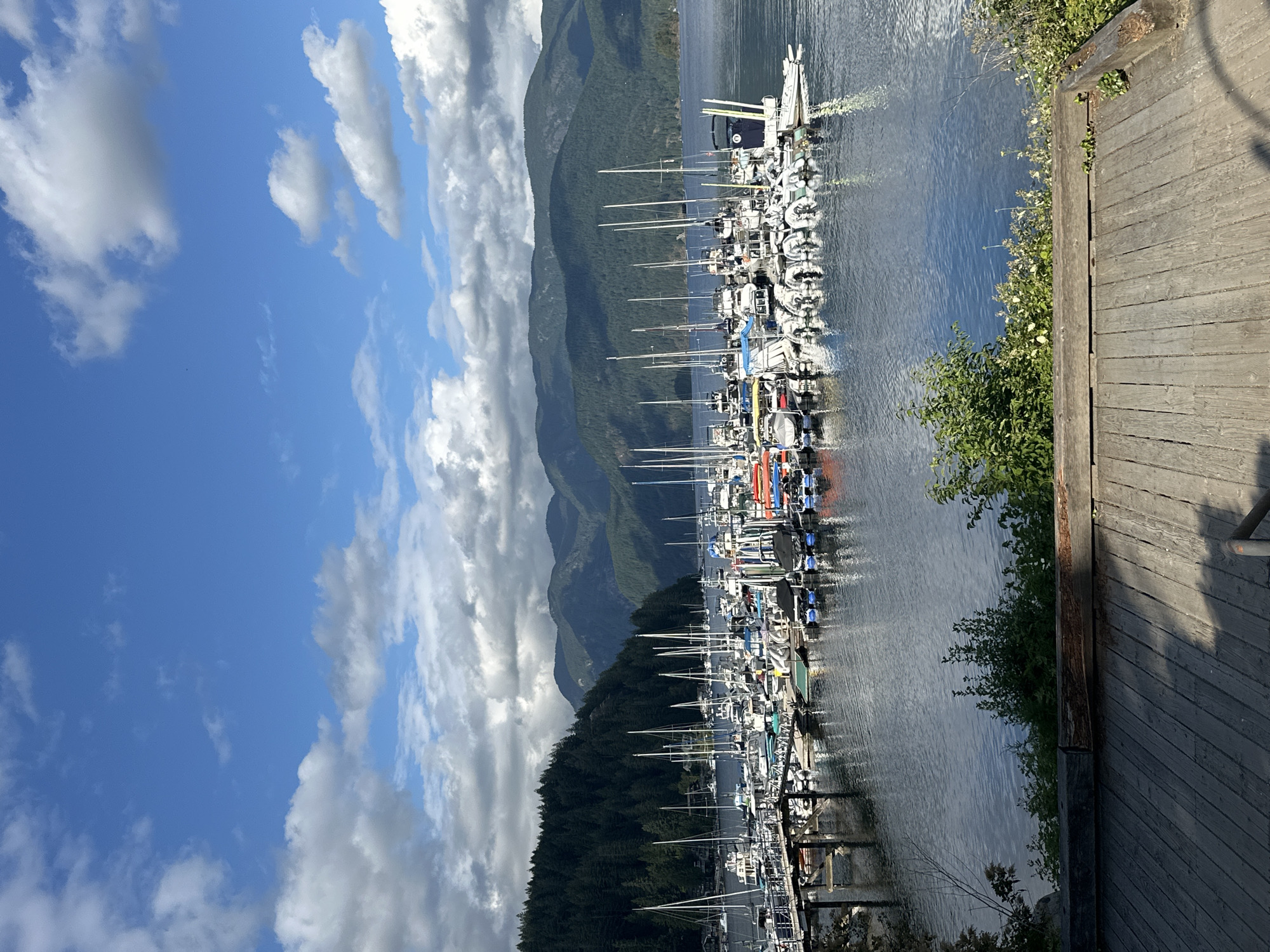 The image shows a marina filled with numerous sailboats and motorboats docked on a body of water. In the background, a dense forest covers the slopes of mountains, with more distant, hazy mountains visible under a partly cloudy blue sky. A wooden deck or pier is in the foreground, with vegetation growing along its edge. The scene is likely Horseshoe Bay in the District of North Vancouver, Canada, a known location for its picturesque marina and mountainous backdrop. There are no people visible in the image.