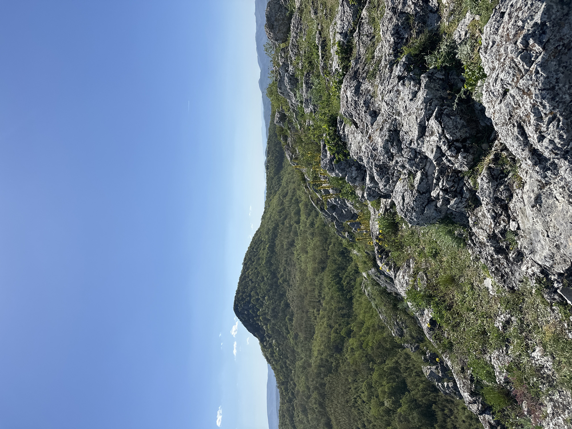 The image presents a landscape view in the city of Bilka, Bulgaria. On the right side of the image is a rocky cliff face, interspersed with patches of green grass and foliage. To the left of the rocks is a lush green mountain, covered in dense forest. In the background, there are faint mountains visible. A clear blue sky fills the majority of the top left of the frame.