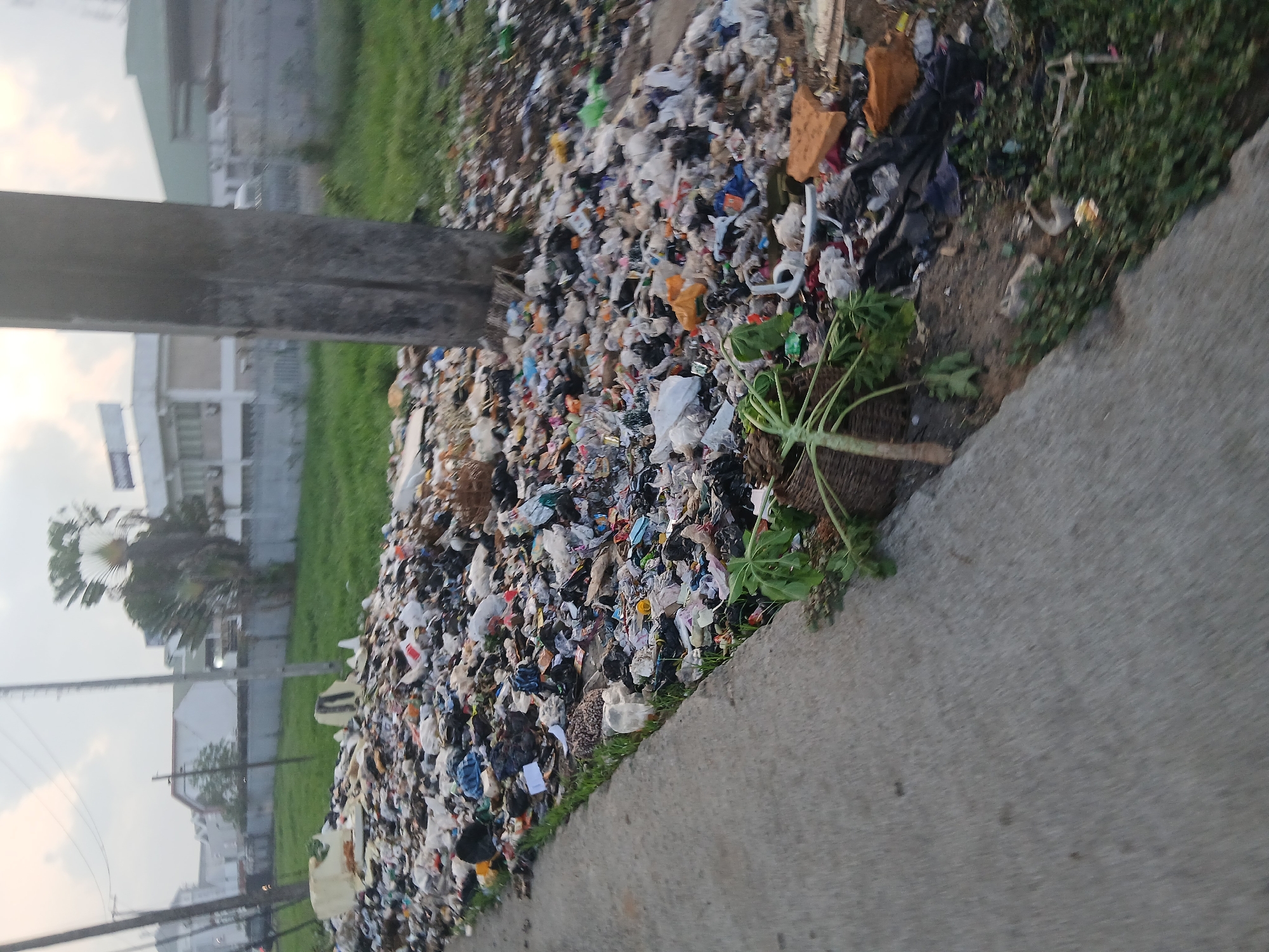 The image depicts a large pile of mixed refuse accumulated along a concrete sidewalk and grassy area, likely near a roadside. The refuse consists of plastic bags, food containers, paper, and other unidentified waste materials. The pile stretches towards a utility pole on the left side of the frame, and some vegetation is interspersed within the trash. In the background, there are buildings, including what appears to be a multi-story structure. The sky is overcast. Based on the visual details, and presuming the information is correct, the image portrays a location in Lagos, Nigeria, characterized by significant waste accumulation and urban development. There are no people visible.