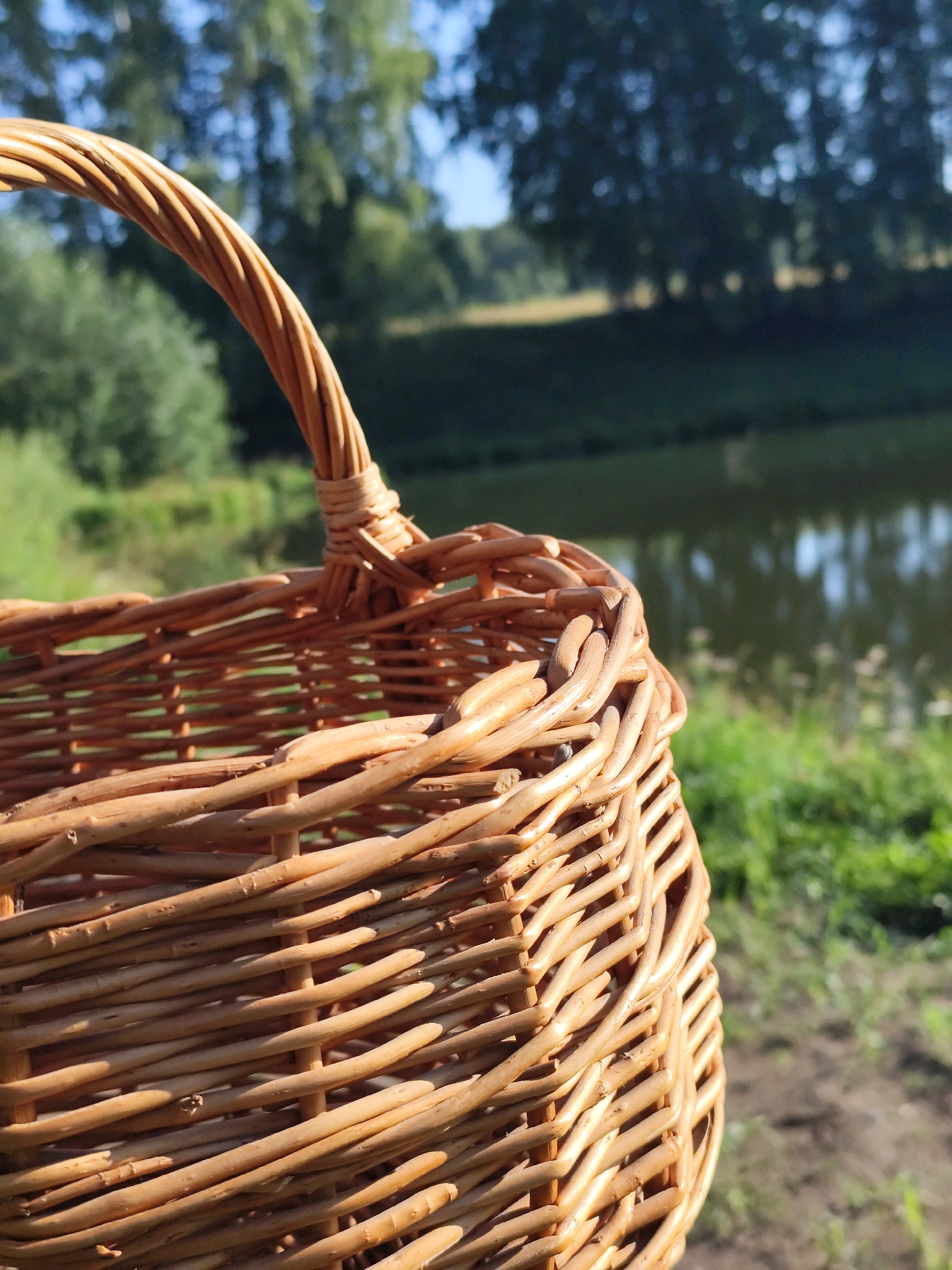 A woven wicker basket is in the foreground, with its handle visible at the top left. The basket is positioned outdoors, with a body of water and lush green trees in the background. The scene suggests a natural environment, possibly a park or a lakeside area. The image does not contain any people or specific actions. There is no information to suggest the location is in Барлакский, Russia.