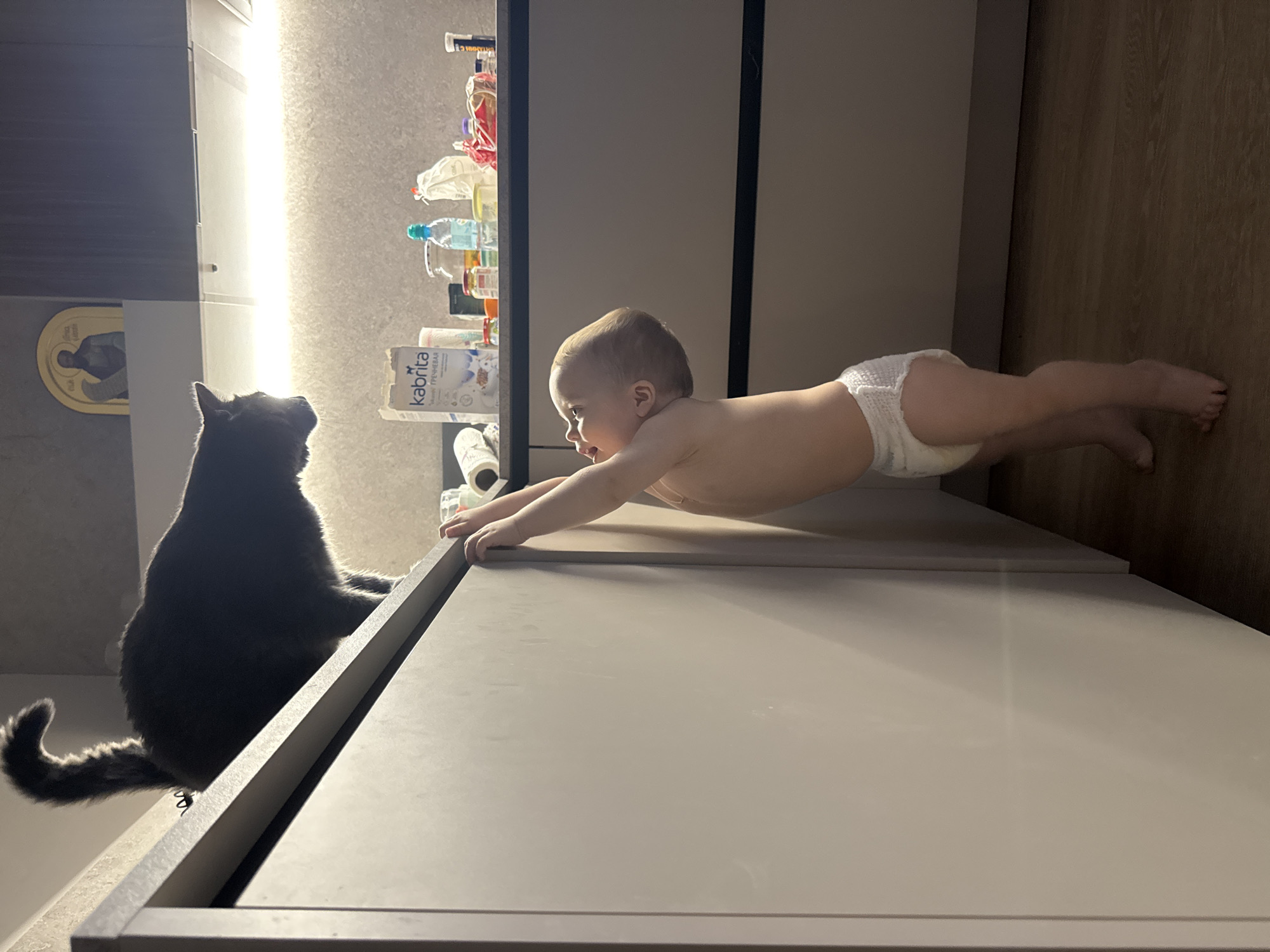The image captures a domestic scene indoors, featuring an interaction between a baby and a cat on a kitchen or cabinet surface. A baby, wearing only a white diaper, is positioned in profile, stretching its arms forward with its body suspended over a light grey surface, appearing to crawl or explore. Its face, partially visible, shows an expression of curiosity and focus. To the left, a large, dark grey cat sits upright with its back to the viewer, its fluffy tail visible, observing the baby with apparent attentiveness.
The setting is a modern kitchen or utility area, characterized by light grey cabinetry and wooden flooring on the right side of the frame. In the background, a brightly lit backsplash or open shelf area holds various household items, including bottles, containers, and rolls of paper towels. A "kabrita" branded package is visible among these items, clearly displaying Russian text "Кукурузная" (Corn) and "ГРЕЧНЕВАЯ" (Buckwheat), indicating a product type of baby cereal. On the far left wall, a golden-framed religious icon hangs.
The lighting suggests an evening or nighttime setting, with a strong artificial light source illuminating the background shelves and wall, creating a warm glow. The foreground, where the baby and cat are, is comparatively dimmer. The image conveys a moment of innocent discovery and watchful companionship within a household in Moscow, Russia.