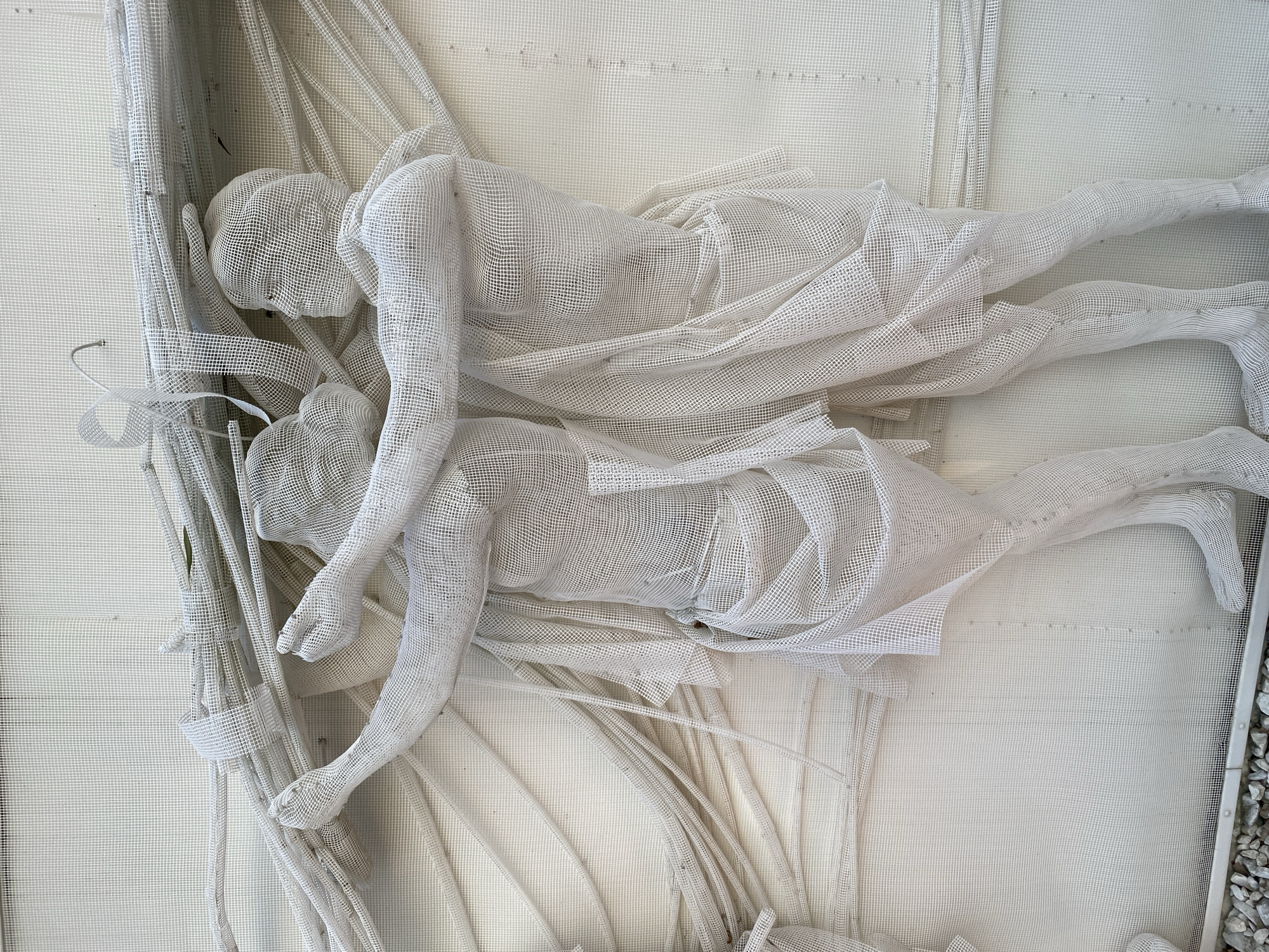 The image is a close-up, eye-level, outdoor shot of a white, mesh sculpture depicting two figures. The figures, constructed from tightly woven mesh material, appear to be in motion, with draped fabric-like elements also made of mesh. The left figure is leaning forward, reaching with both hands towards a bundle of mesh tubes or poles held by the right figure. The right figure is standing upright, holding the bundle with their left hand and their right arm is bent across their chest. Both figures have detailed facial features and visible limbs. The sculpture is mounted on a white mesh background, with additional mesh elements creating a sense of depth and movement. The lower edge of the sculpture shows a white metal frame and a scattering of grey gravel. The overall impression is one of dynamic interaction and ethereal form. The location is unknown, Unknown.