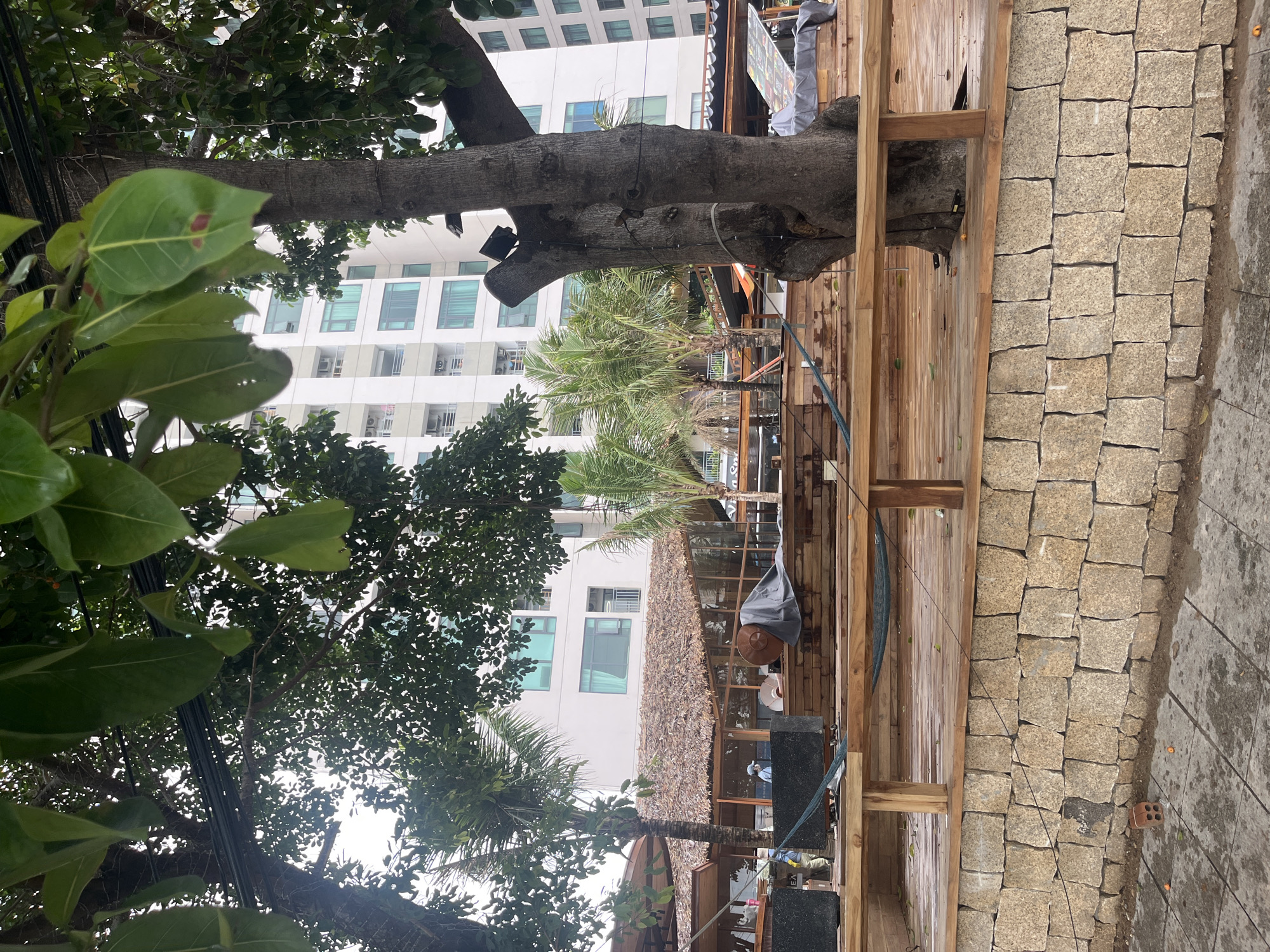 This image captures an outdoor scene, likely a cafe or restaurant area, set against a backdrop of a modern urban building. Lush green foliage from large trees dominates the foreground and mid-ground, suggesting a tropical or verdant environment.
In the foreground, large, broad green leaves are prominently visible, with some dark cables running through them. A substantial tree trunk extends horizontally across the mid-section of the frame, providing shade over a wooden outdoor deck. On this deck, a person wearing a light grey shirt is seated at a table, appearing to be looking down at something in front of them. The deck features wooden railings and support beams. Behind the person and further into the mid-ground, palm trees are visible, along with a structure featuring a thatched roof made of dried natural materials, indicative of an outdoor seating or bar area. Several black, square objects, possibly speakers or planters, are positioned on the deck.
In the background, a tall, multi-story white building rises, characterized by numerous rectangular windows, some open and revealing glimpses of interiors, while others have dark tinted glass. Air conditioning units are visible beneath some of the windows. The building's modern architecture contrasts with the rustic and natural elements of the foreground.
To the right of the wooden deck, a paved walkway made of irregularly shaped, light-colored stone blocks extends into the distance. Some dirt and a single red brick are visible on the ground beside the paving. The sky, seen through gaps in the tree canopy, appears bright but possibly overcast.
The scene depicts a calm, daytime setting, with the individual seemingly relaxing in the shaded outdoor space. No discernible text is clearly visible on any signs. The combination of tropical trees, a rustic cafe, and a modern building aligns with the suggested location in Bac Nha Trang Ward, Vietnam.