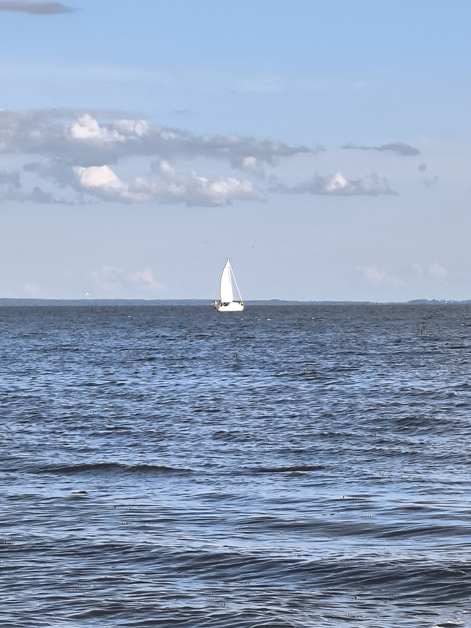 A sailboat with a white sail is positioned in the middle of a body of dark blue water. The water exhibits rippling waves, suggesting a gentle breeze. In the distance, a faint landmass or horizon line is visible under a pale blue sky dotted with scattered white and gray clouds. The overall scene captures a serene, natural environment. The location is not specified in the image.