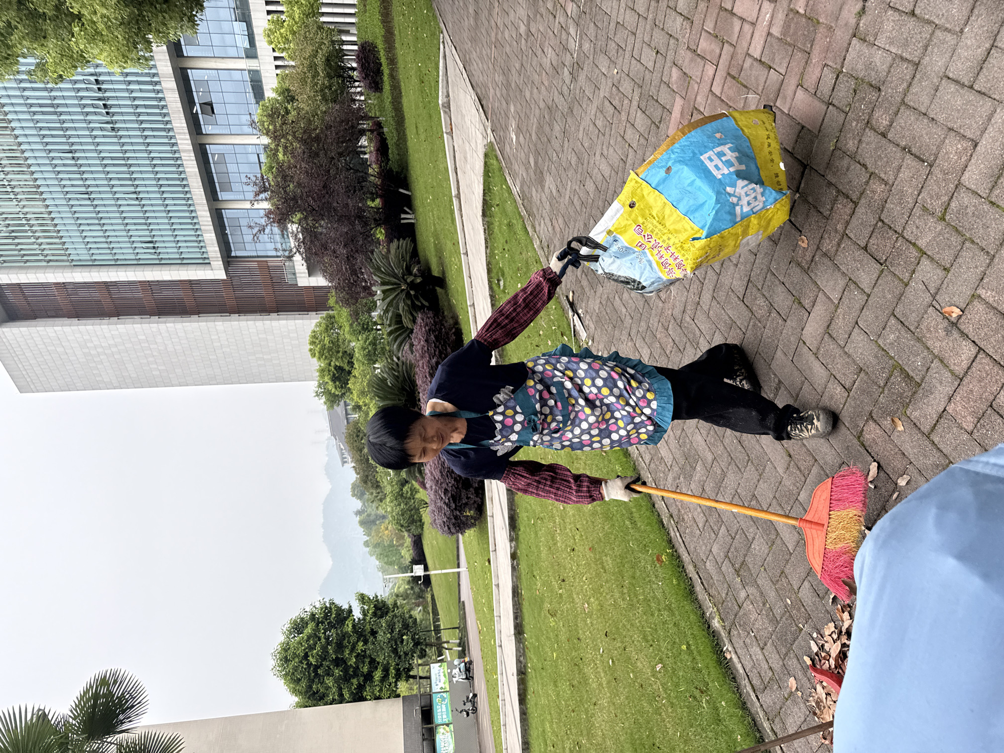 A woman wearing an apron and gloves is sweeping leaves on a paved walkway next to a grassy area. She is holding a broom in her right hand and a large, blue and yellow bag with Chinese characters printed on it in her left hand. The bag appears to be heavy and is partially full of debris. In the background, there is a modern building with many windows and some trees and shrubs. The image is taken in Jiangjin, China.
