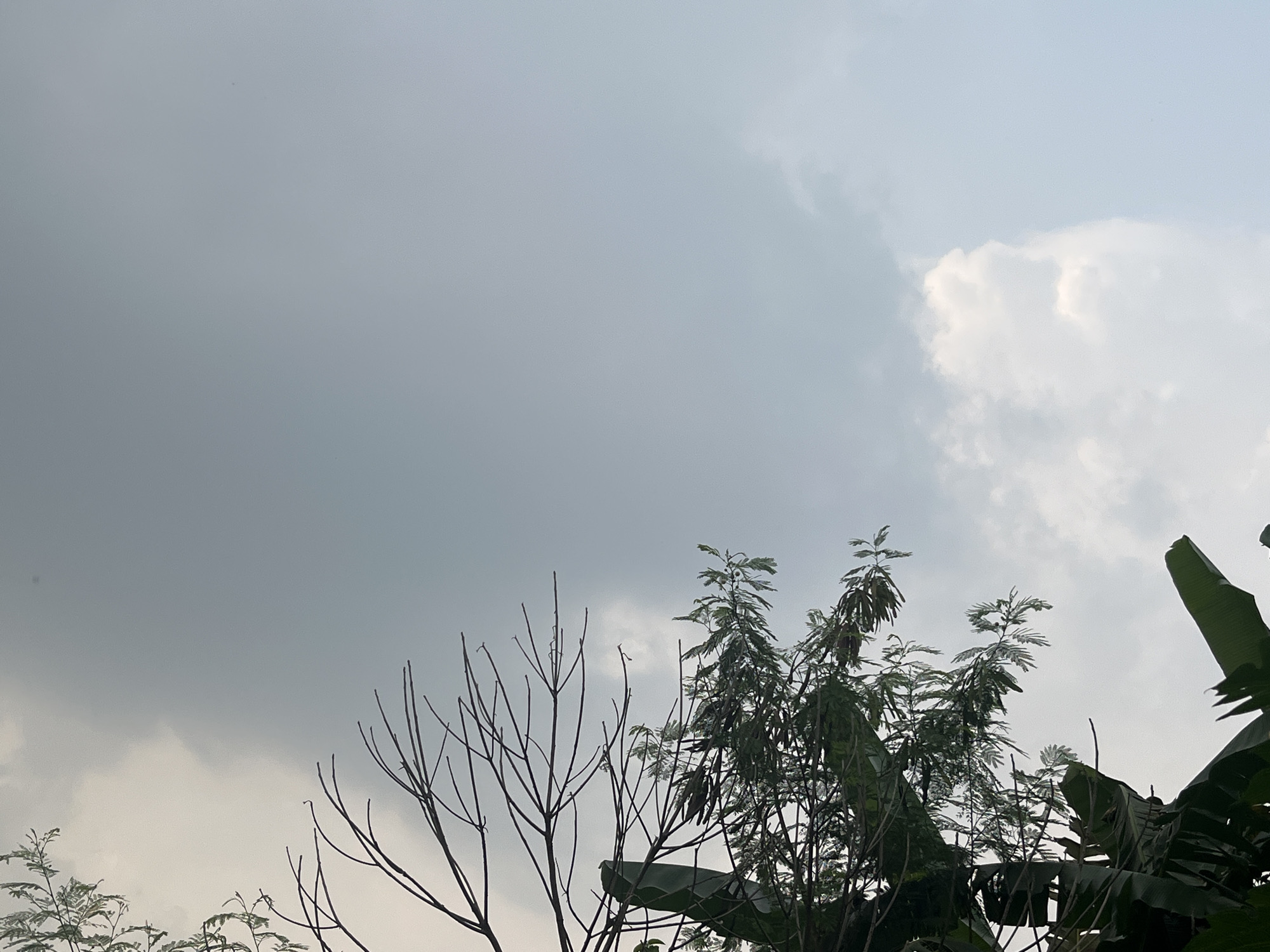 The image shows a cloudy sky with the tops of trees in the foreground. The sky is mostly gray with some lighter patches of clouds, particularly on the right side of the image. Several trees are visible, including a bare, skeletal tree on the left and denser, leafy trees on the right. Banana leaves are also visible on the right side. The scene appears to be outdoors, likely in a natural or semi-rural setting. The location is identified as Meliau Hulu, Indonesia.