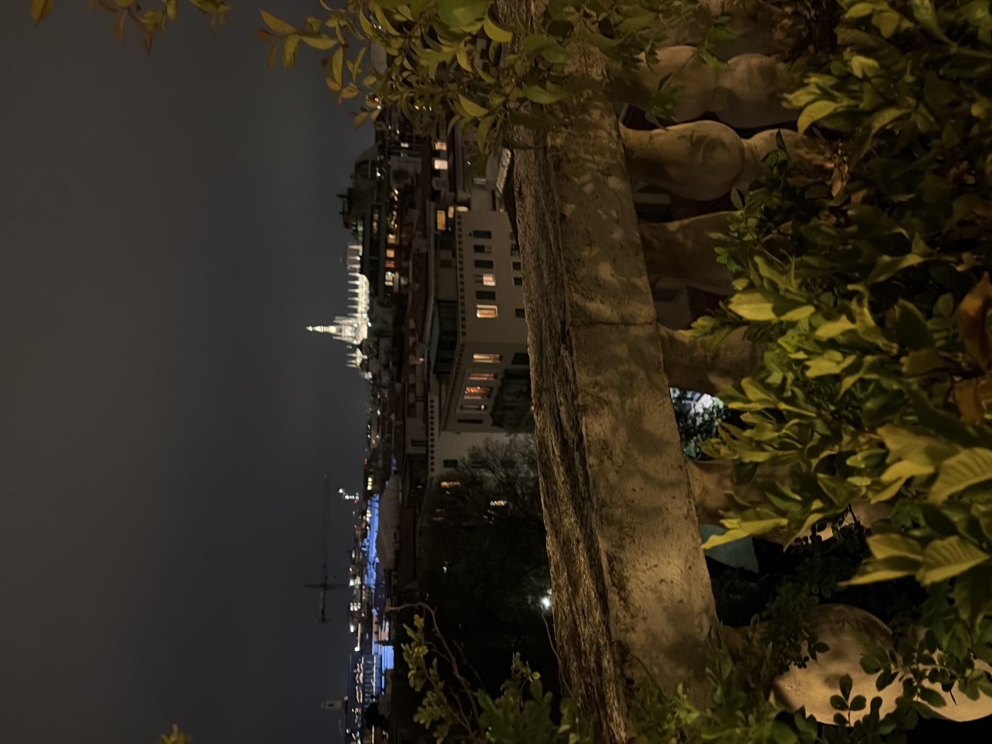 Captured at night, the image presents a cityscape through foliage. Dominating the left side is a dark, expansive sky above illuminated buildings. In the background is a tall, ornate structure, possibly a cathedral, its upper reaches gleaming with light. To the right, a stone structure, possibly a wall or column, is flanked by dense green foliage. The overall environment suggests an urban location with historical architecture in Unknown, Unknown.
