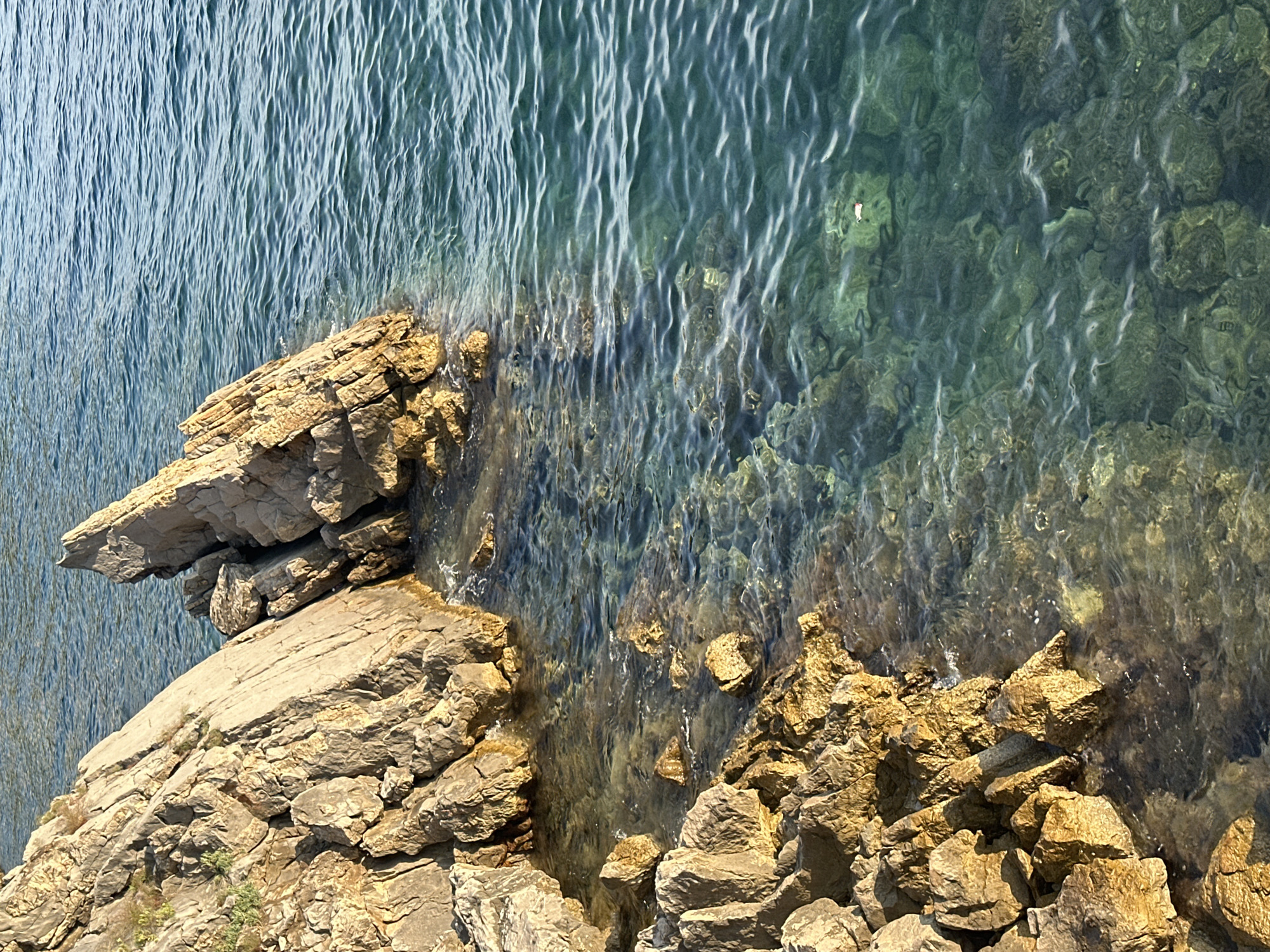 The image shows a rocky coastline with clear blue-green water lapping at the shore. Jagged rock formations, some with sparse vegetation, dominate the left side of the frame. The water is shallow near the rocks, revealing submerged stones and pebbles, and gradually deepens into a more opaque blue further out. The sunlight creates ripples and highlights on the water's surface. The scene is a natural landscape with no visible people or man-made structures. This scene is characteristic of the coastal areas surrounding Budva, Montenegro, known for its rugged shores and clear Adriatic waters.