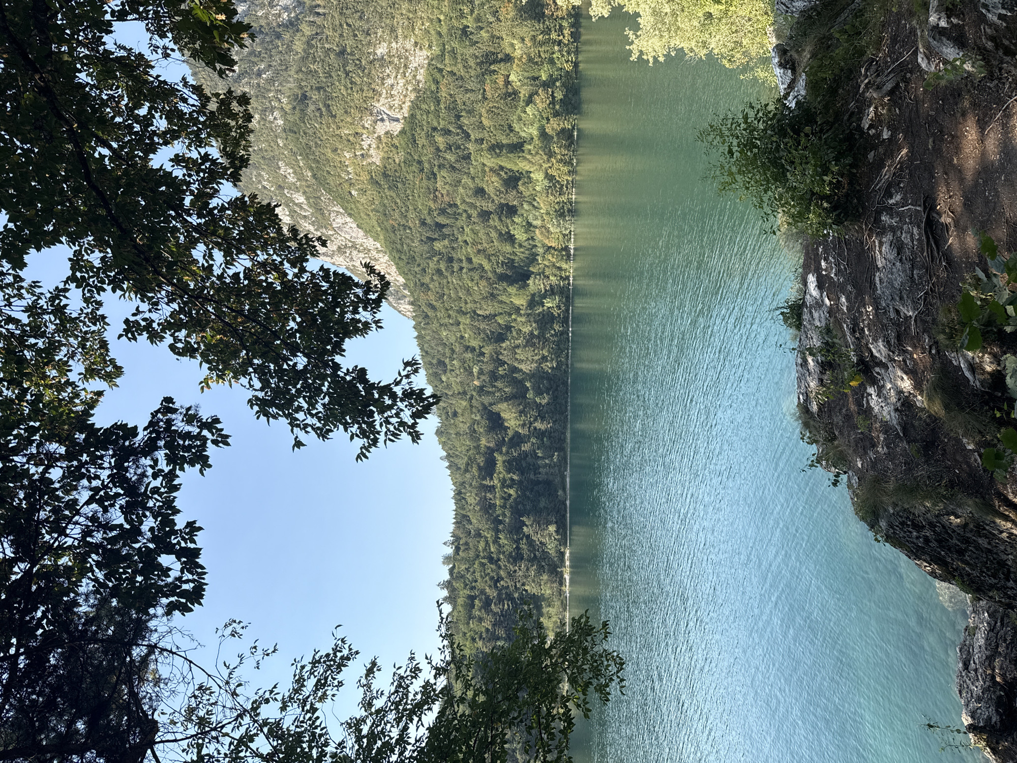 A clear, bright sky is visible through the dark green leaves of trees in the foreground, framing a picturesque view of a large, tranquil lake. The water is a vibrant turquoise, with gentle ripples reflecting the sunlight. Across the lake, a dense forest covers rolling hills, leading up to a majestic, rocky mountain slope. The foreground features rocky terrain with sparse vegetation and exposed roots, suggesting a natural, undeveloped area. No people or animals are present in the scene.