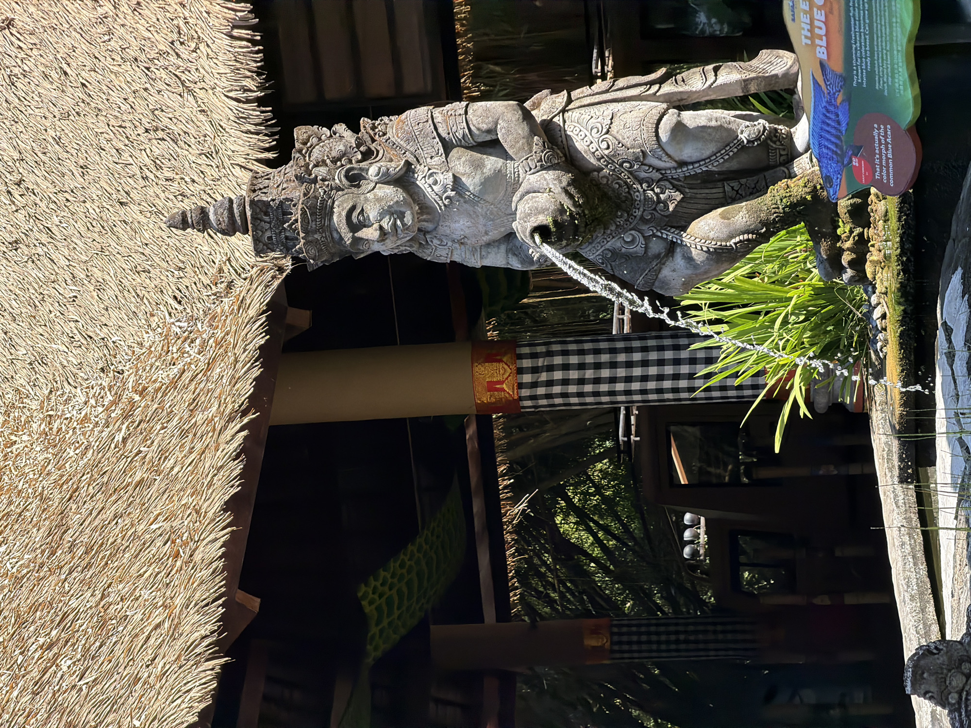 An ornate stone sculpture of a deity is positioned in front of a building with a thatched roof in Blahbatuh, Indonesia. The sculpture, which appears to be a fountain, depicts a male figure in traditional attire, holding a vessel from which water is flowing. The deity's face is detailed, with a stern expression. The thatched roof is angled and appears aged, with some sections showing signs of wear. Behind the sculpture, a building's facade is visible, featuring columns decorated with checkered fabric and gold trim. Lush green foliage surrounds the sculpture, suggesting an outdoor setting. A signpost with an image of a blue fish is located near the base of the sculpture. The overall scene conveys a sense of cultural heritage and tranquility.