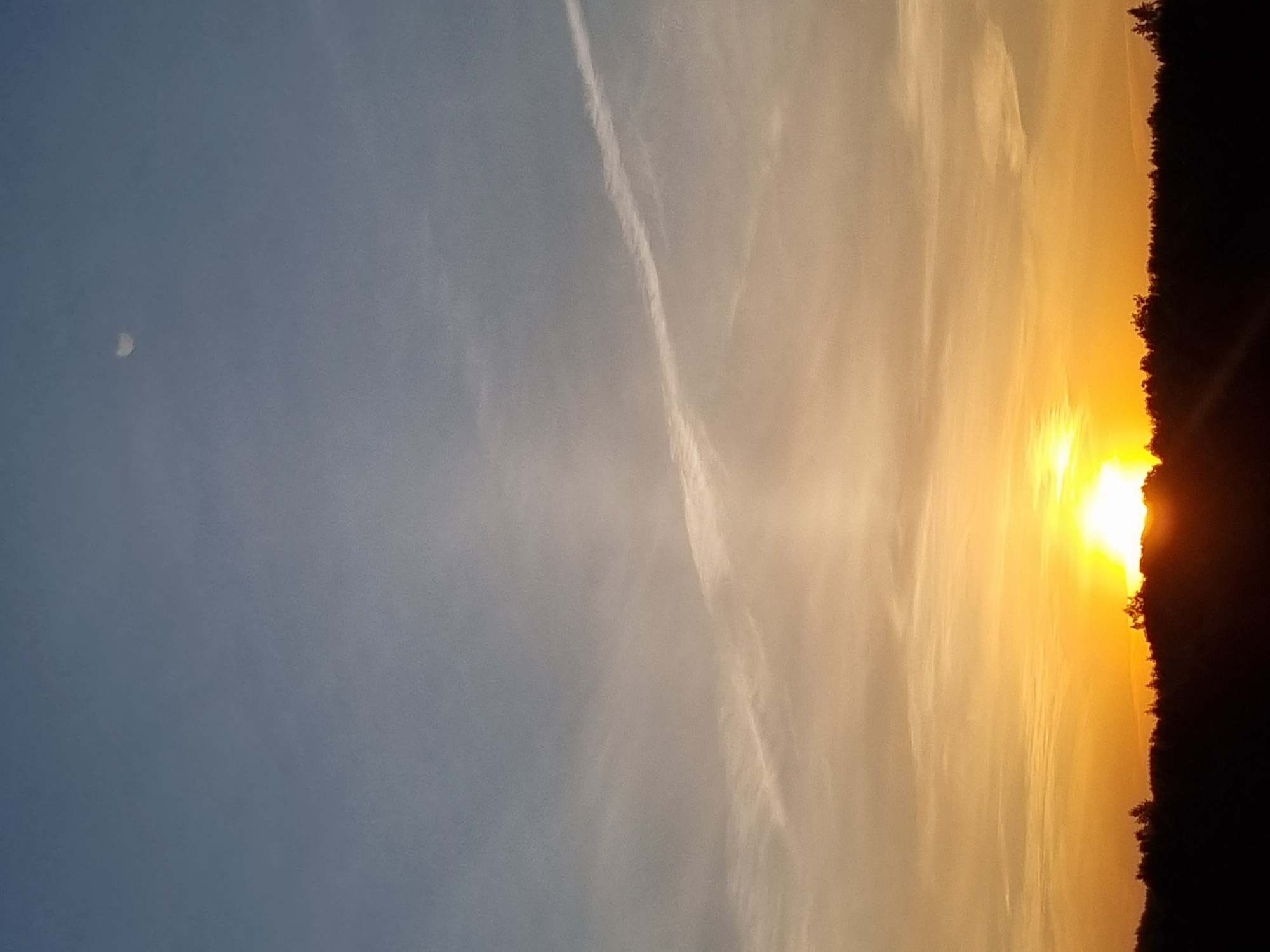 The image shows a sunrise. The sun is positioned on the right side of the image, with the top portion obscured by a dark treeline. The sky transitions from a deep blue on the left to a warm orange/yellow near the sun, with thin clouds scattered throughout. There is a very faint crescent moon visible in the upper left portion of the blue sky. There are no people visible in the image. The location is unknown, although the prompt requested it be Kemul, Russia.