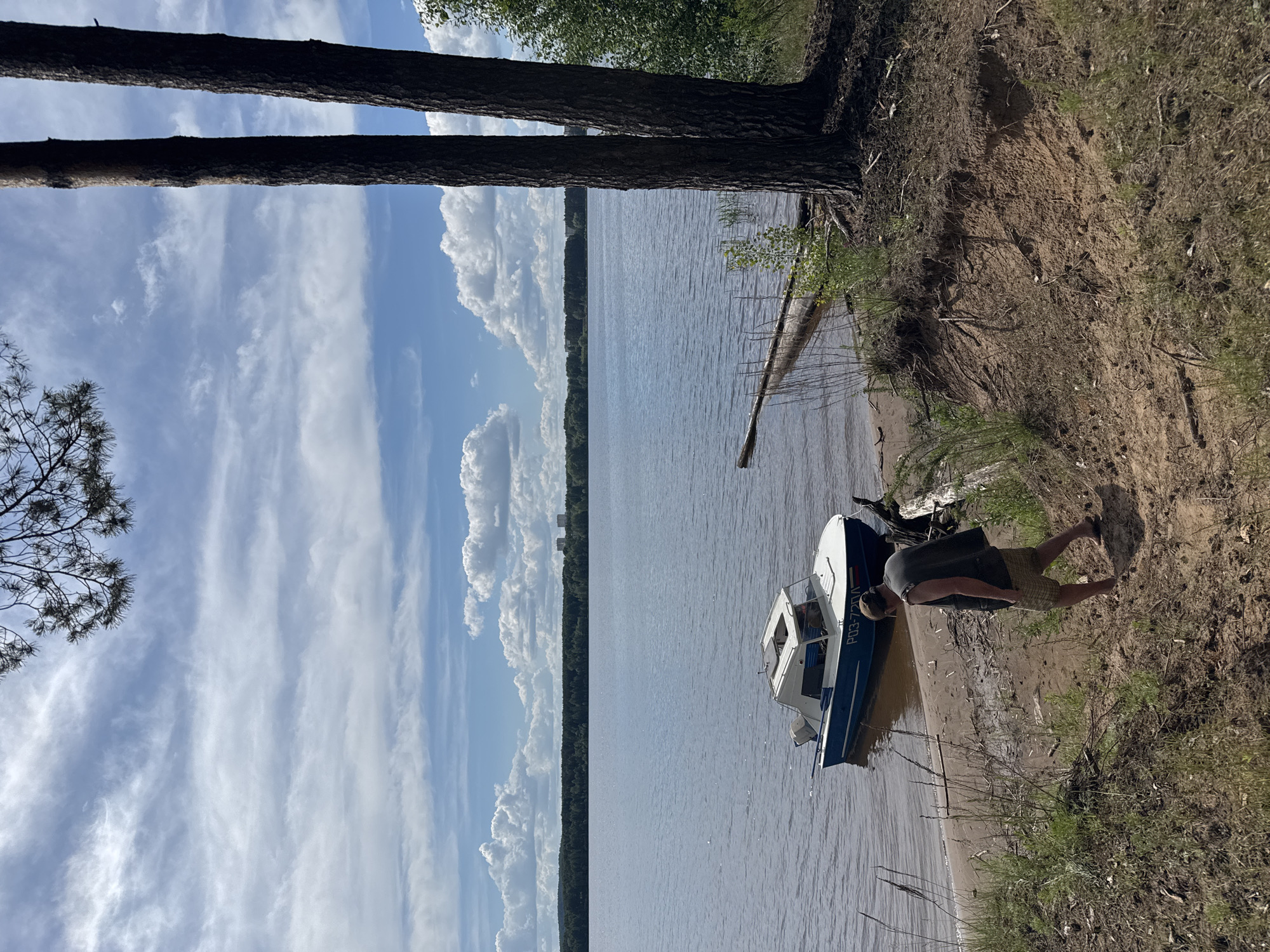 The image captures a sunny outdoor scene by a wide body of water in Chaikovsky, Russia. A man stands on the sandy and earthen bank, looking towards a small, blue and white motorboat partially submerged in the water beside him. He is wearing a dark t-shirt and plaid shorts. On the side of the boat, the text "РОЭ-770И" is visible.
In the midground, the calm water extends across the frame, leading to a distant, tree-lined horizon. Two prominent, tall pine tree trunks stand vertically on the left side of the image, rooted in the foreground bank. Scattered logs and debris are present along the water's edge, including one long log partially submerged. The sky above is bright blue with a mix of fluffy cumulus and streaky cirrus clouds, indicating clear and pleasant weather. The bright illumination suggests it is midday or early afternoon. The scene depicts a tranquil moment by the water, likely a lake or large river, with the man seemingly attending to the boat.