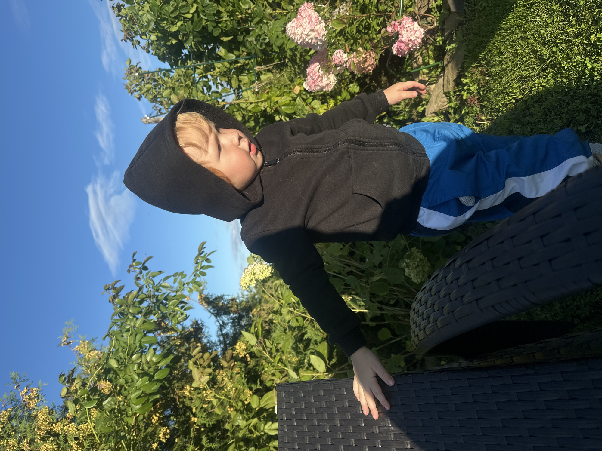 A young boy with blond hair, wearing a black hooded jacket and blue and white track pants, stands in a garden with lush green foliage and pink hydrangea blooms. He is leaning his left hand on a dark woven outdoor chair. The sun is shining, casting shadows on the chair and the grass. The sky is blue with scattered white clouds. The image is taken outdoors, likely in a residential garden in the city of Galewoo, Russia, during daylight hours.