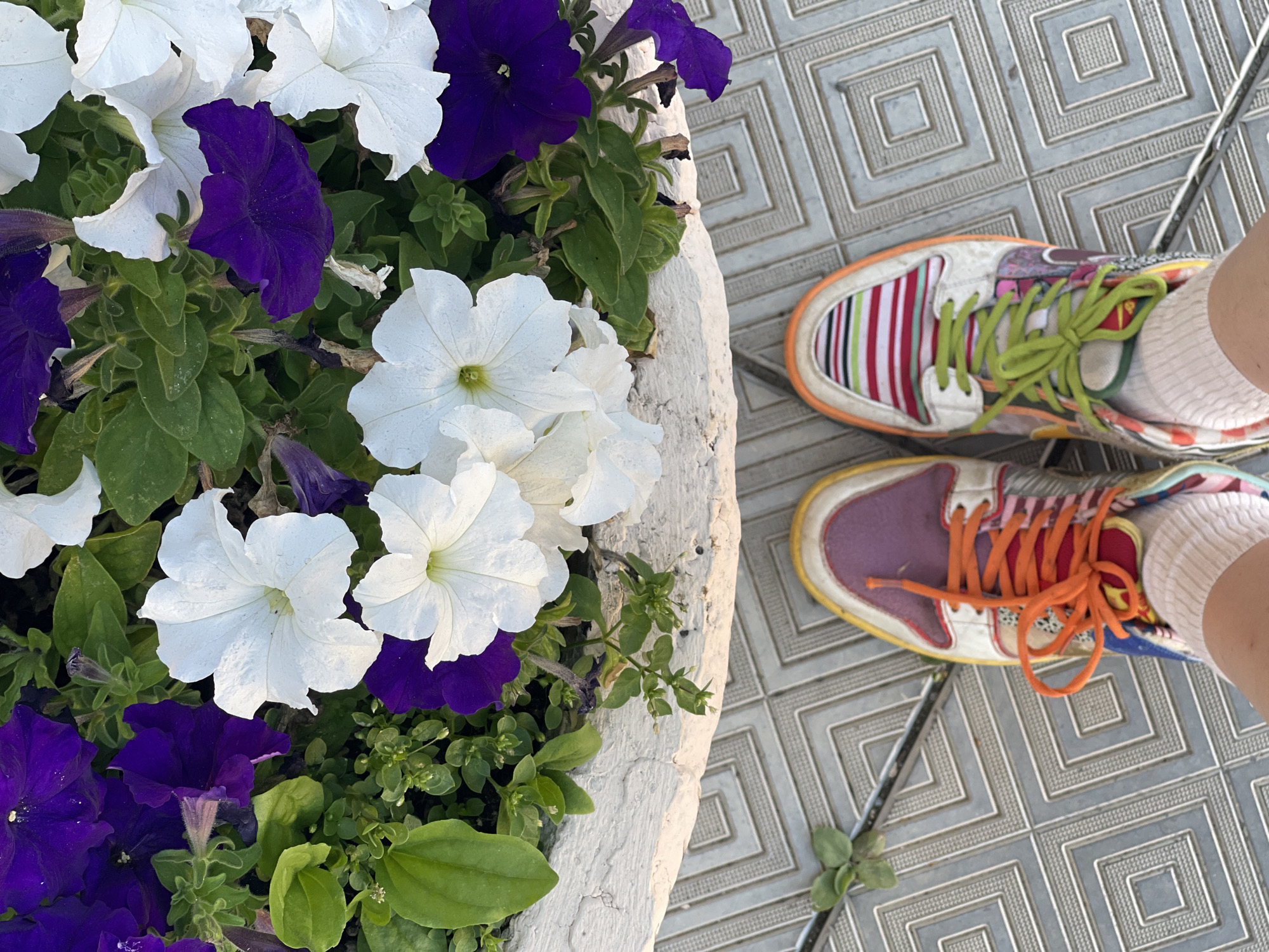 A top-down view captures a person's feet wearing brightly colored, mismatched sneakers standing on a patterned tile floor. The shoes feature a patchwork of colors and patterns, including purple, orange, yellow, white, and stripes of green, pink, and red. The laces are orange on the left shoe and green on the right. White socks are visible above the sneakers. The feet are positioned in front of a raised planter overflowing with vibrant purple and white petunia flowers and green foliage. The planter's edge is made of a textured, cracked white material. A thin metal bar runs across the tiled surface near the planter. The scene is illuminated by natural light, casting subtle shadows. The location is identified as Orenburg, Russia, though no specific landmarks are visible to confirm this.