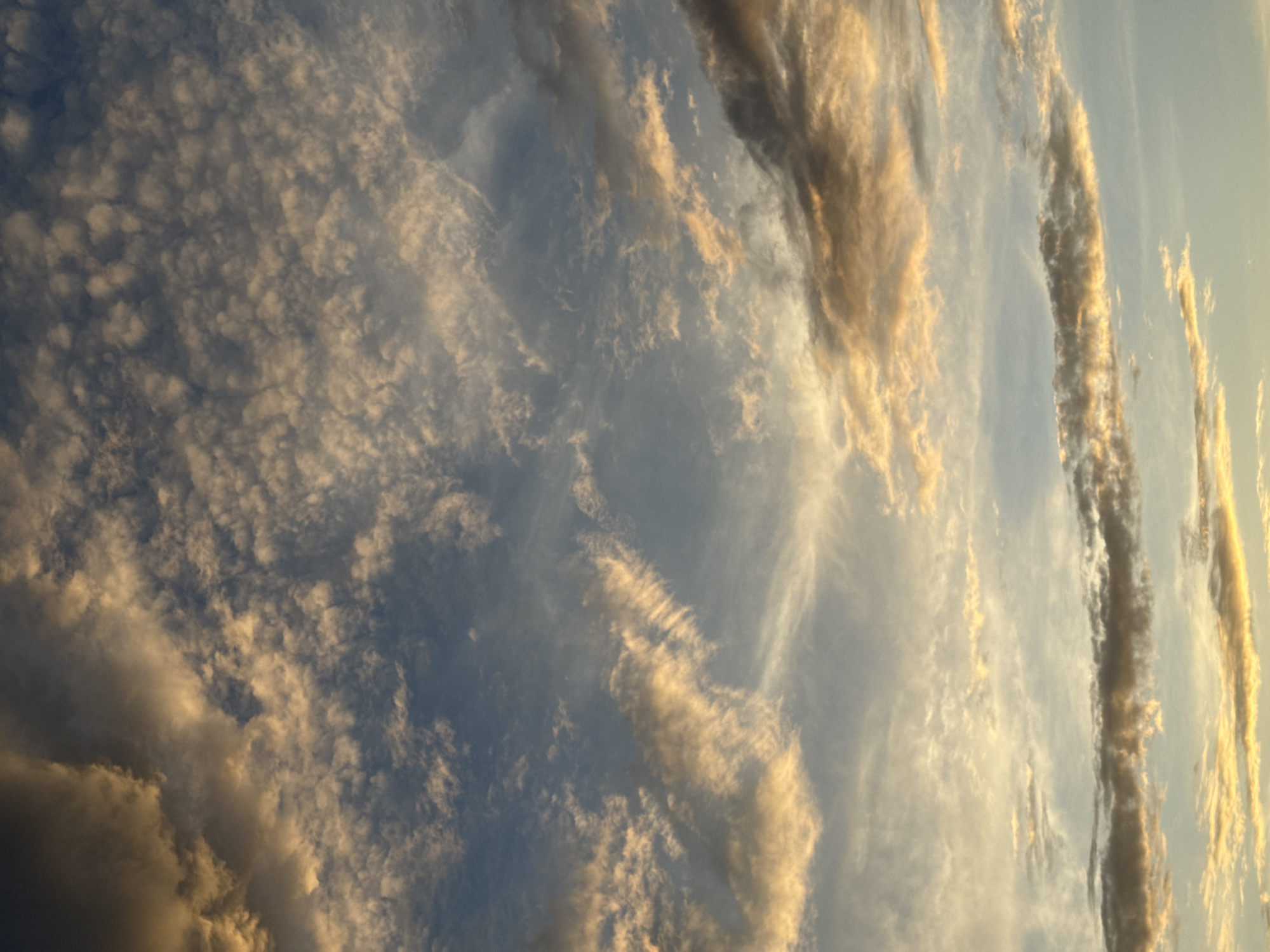 The image displays an expansive sky filled with diverse cloud formations, illuminated by the warm, low-angle light characteristic of either sunrise or sunset. The sky transitions from a lighter, pale blue near the horizon to a deeper, muted blue-gray in the upper regions.
In the upper-right quadrant, a dense scattering of small, rounded, light-colored clouds (consistent with altocumulus) is brightly lit on their undersides and edges with golden and orange hues. To the upper-left, a large, dark, dense cloud mass, heavily shadowed with grays and browns, displays golden edges where it catches the direct light. The mid-section features elongated, streaky, and feathery cloud structures, some illuminated with pale gold, others appearing as wisps against the blue background. The lower portion of the image is characterized by more stratified, horizontal bands of clouds, also glowing with golden light, particularly along their upper edges, and casting subtle shadows beneath. No discernible ground features, structures, or individuals are visible within the frame. The scene is captured in the city of Yerevan, Armenia, though no specific landmarks are visible within the image to confirm this geographical context.
