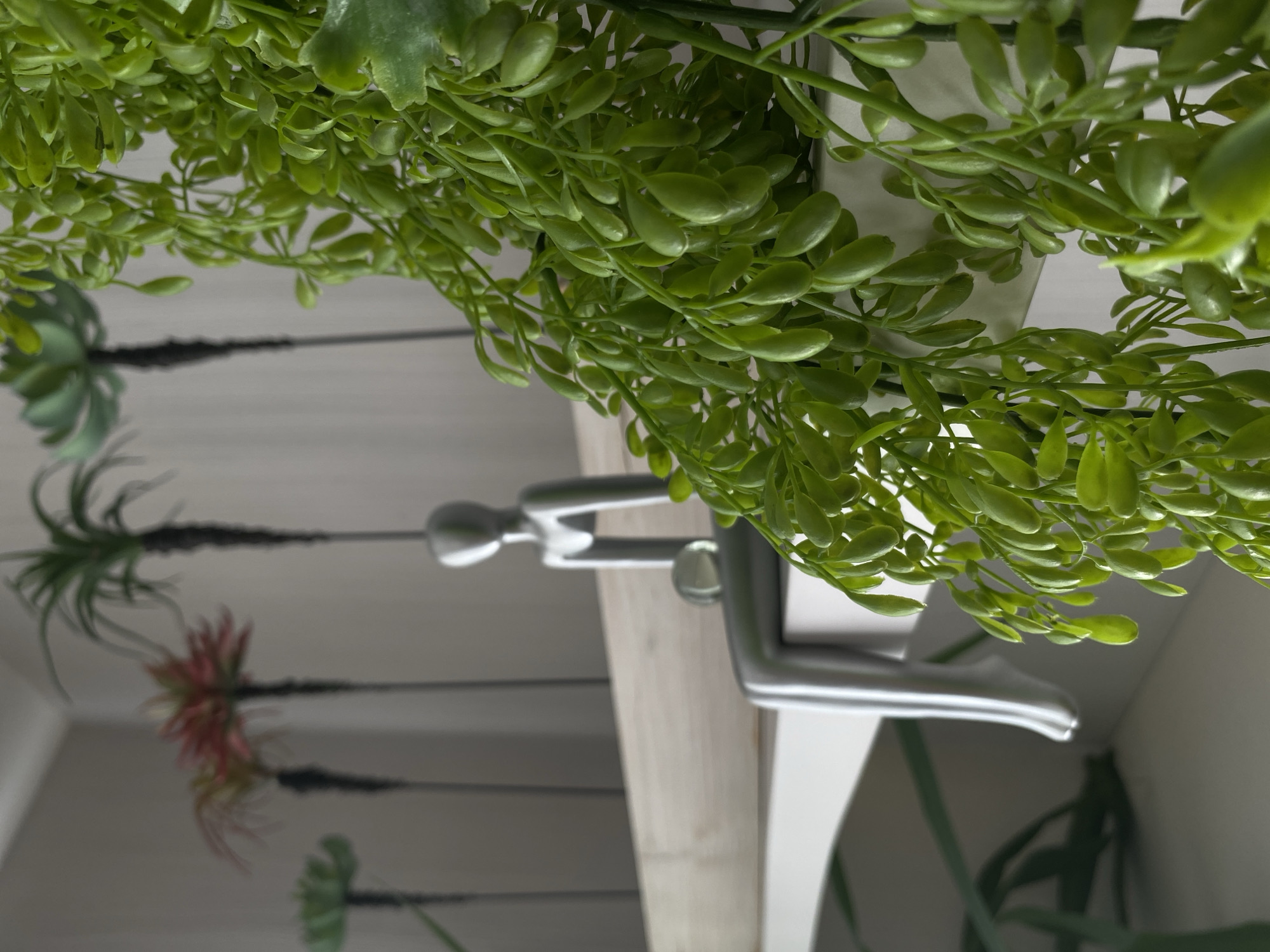 The image shows an indoor scene. A silvery metallic sculpture of a person is affixed to a light-colored, possibly wooden, shelf. Hanging plants with small, round, green leaves are above and partially obscuring the sculpture. On the wall behind the shelf, there appear to be decorative plants. The wall is light-colored. The location is not discernible from the image.