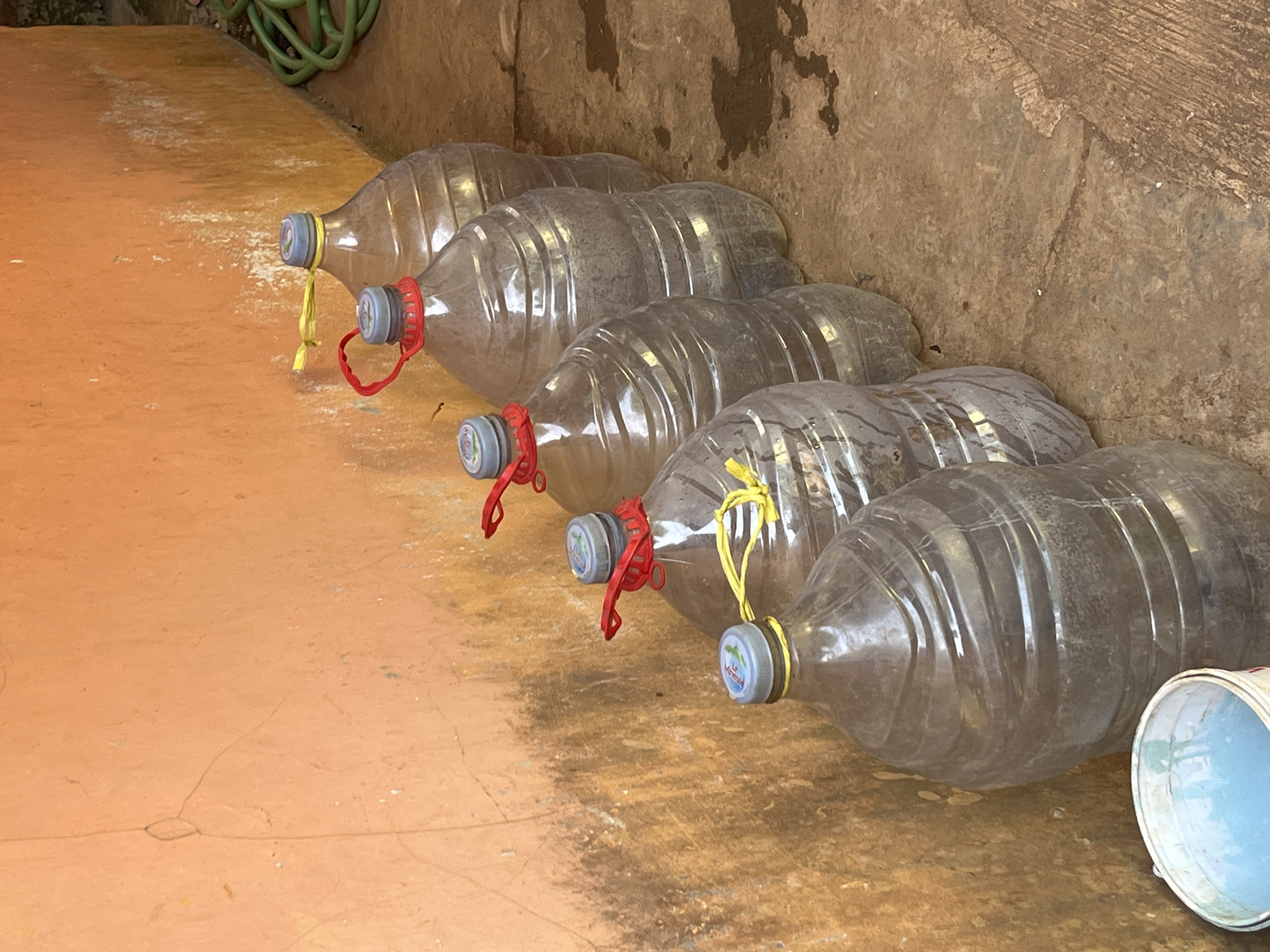 The image shows a line of five large, clear plastic water bottles standing on a concrete surface next to an orange-colored textured wall. Each bottle has a cap with some visible markings and a string tied around its neck. The strings are either red or yellow. The bottles appear to be partially filled with a cloudy substance, possibly water with sediment. In the lower left corner, a white bucket containing a light blue liquid is partially visible. To the right of the bottles, a green garden hose is coiled on the ground. The environment suggests an outdoor or semi-outdoor setting, potentially in a residential area or a place where water storage is common. The presence of the wall and concrete floor indicates a built environment, while the hose suggests proximity to a water source or garden. The overall impression is one of utilitarian water storage.