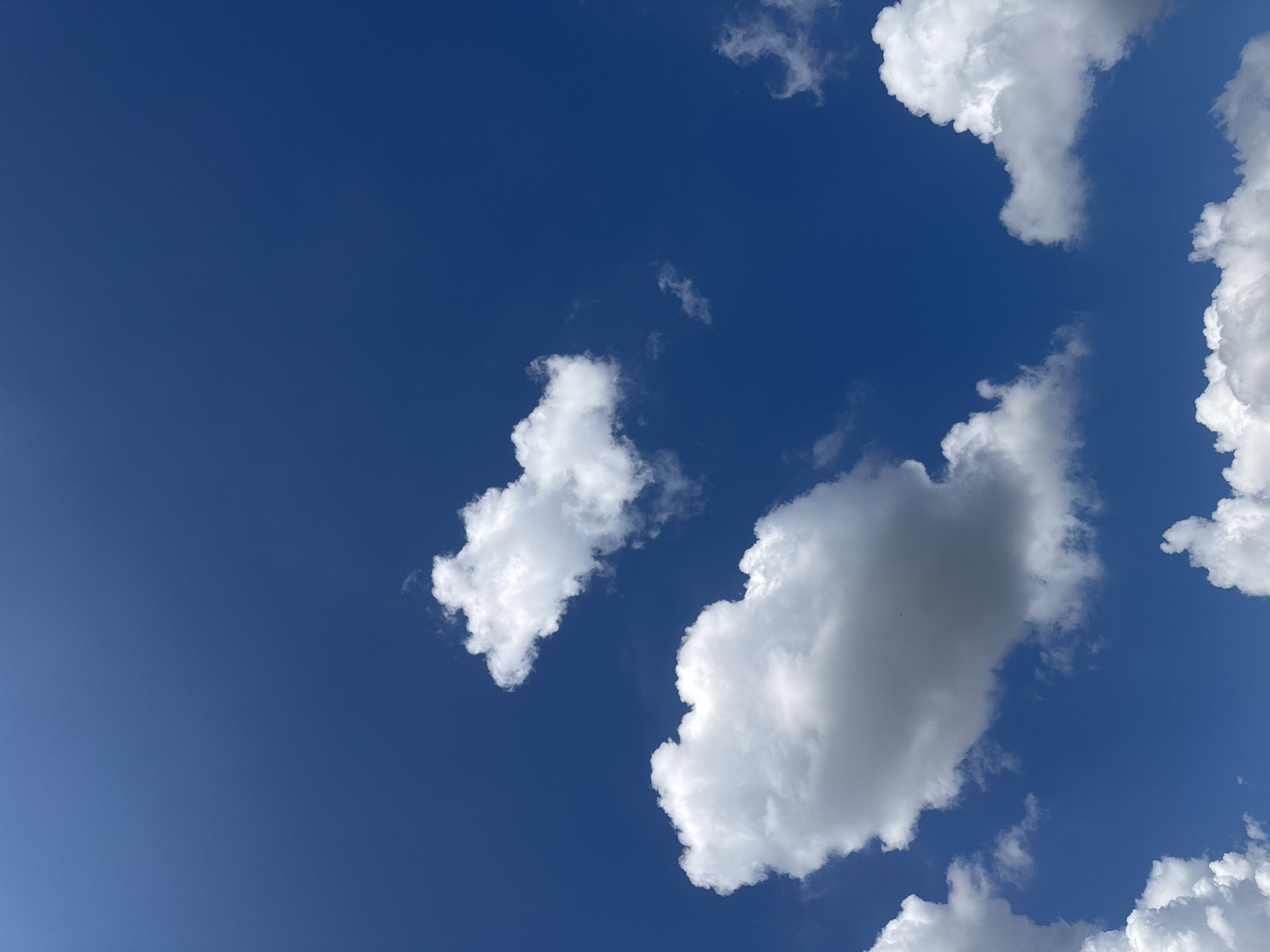 The image depicts a clear blue sky with scattered white cumulus clouds. The clouds are fluffy and voluminous, with some appearing more defined than others. The sky is a vibrant shade of blue, suggesting a bright and sunny day. There are no discernible human elements, structures, or geographical features visible, indicating an aerial or open-sky perspective. The scene is static and peaceful, focusing solely on the atmospheric conditions. Given the request to place this image in Бараўлянскі сельскі Савет, Belarus, it can be inferred that this is a typical sky scene observed in that region.
