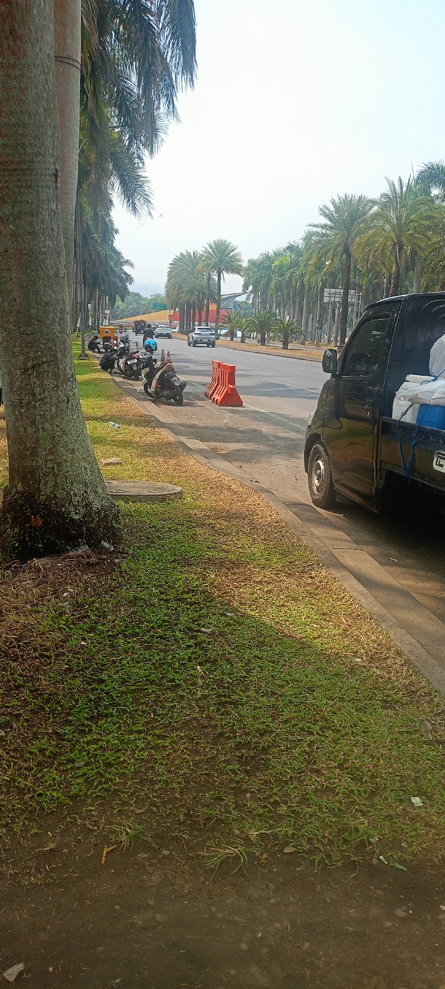 In the city of Kertajaya, Indonesia, a black pickup truck is parked on the right side of a paved road, facing right. The truck bed contains several white bags or containers and one blue container. In front of the truck, a row of orange traffic barriers is placed on the shoulder of the road. Further down the road, several motorcycles are parked on the grass verge. Some people are seen near the motorcycles, appearing to be interacting with them. The road is lined with palm trees on both sides, and the sky is clear and bright. The foreground shows a grassy area with dirt and some scattered debris, bordered by a concrete curb.