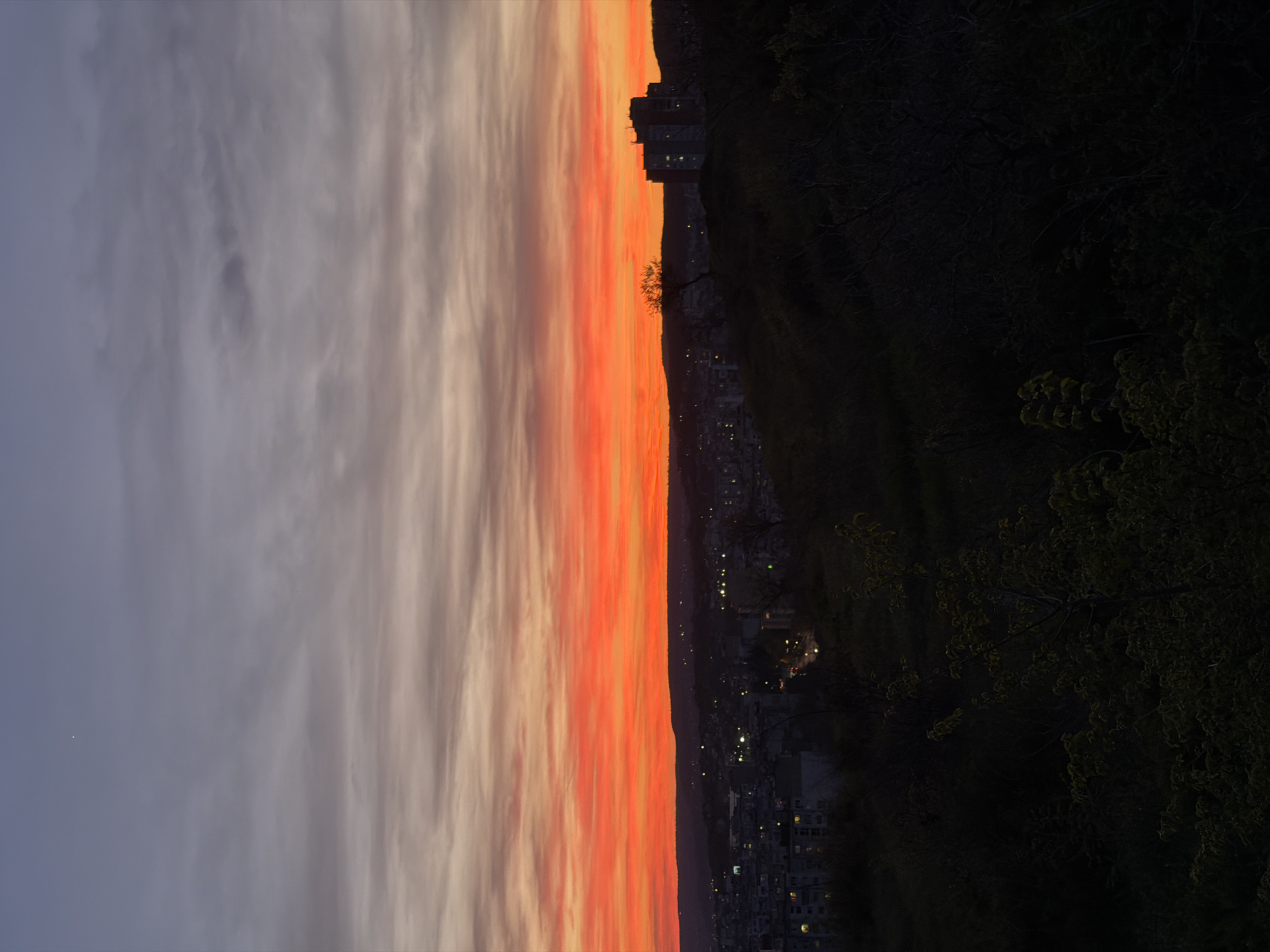The image depicts a sunset over Varna, Bulgaria, as viewed from an elevated position. The sky is divided vertically into two sections: a gray and white cloud-filled section on the left and a vibrant orange and red section on the right, indicative of the setting sun. In the middle ground, a dark silhouette of land and buildings is visible, suggesting a city skyline against the horizon. The foreground consists of dark trees and vegetation, possibly indicating a park or wooded area. The image is taken from a static viewpoint, capturing a panoramic view of the city at dusk. The lighting suggests the golden hour, with a mix of natural and artificial light sources illuminating the scene. No people are visible in the image.