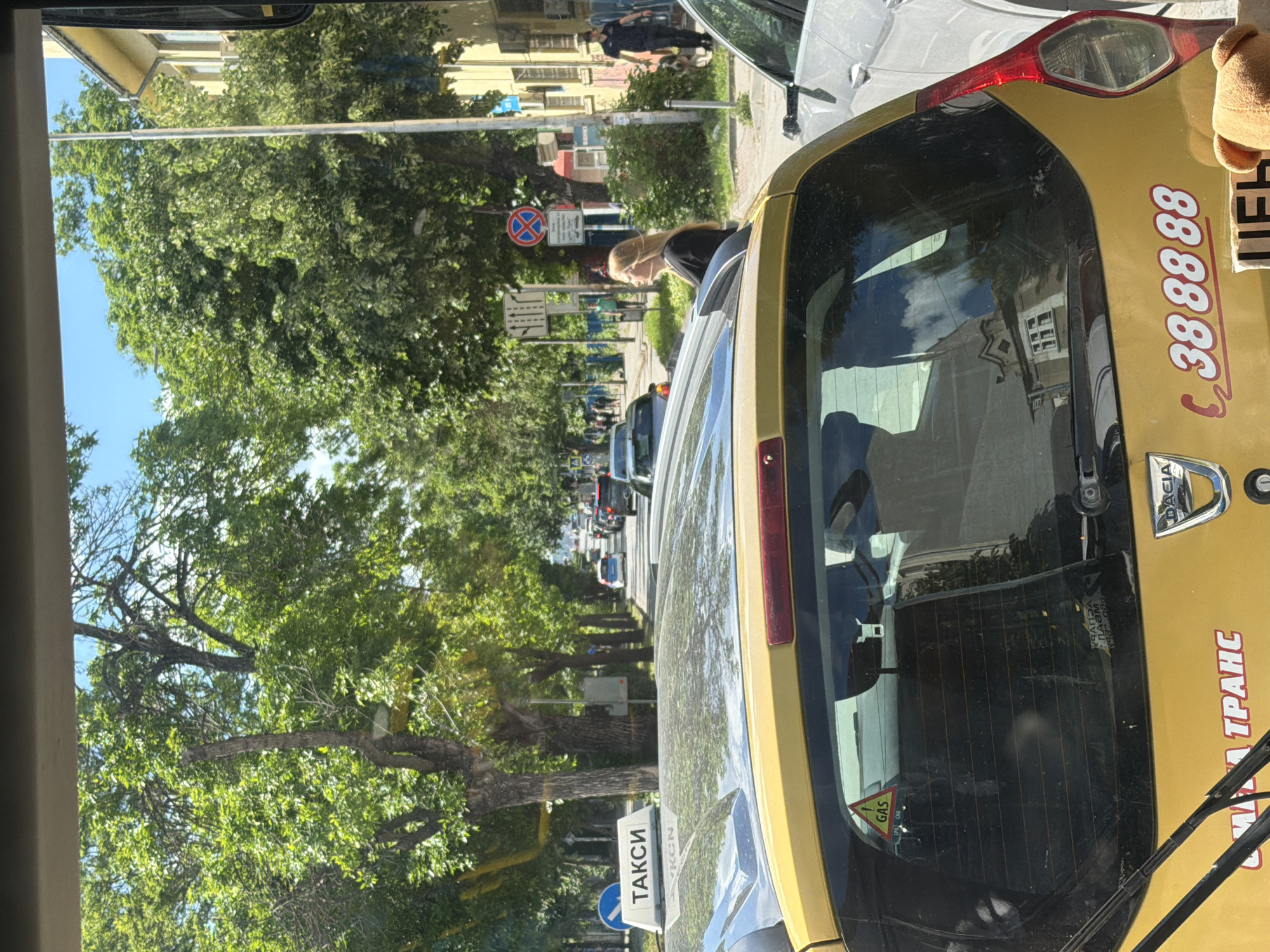 The image shows a street scene in Varna, Bulgaria, viewed from a vehicle, possibly another taxi. The focus is on the rear of a yellow taxi with a Dacia logo. The taxi's rear window reflects a building. The taxi has a "GAS" sticker, a wiper, and phone number "38 88 88". The word "ТРАНС" (TRANS) is visible on the taxi's side.
Outside the taxi, the street is lined with trees. Several pedestrians are visible on the sidewalk. There is a "no stopping" sign. A woman is bending down and looking inside of a car that is next to the yellow taxi. Several cars are parked along the street.