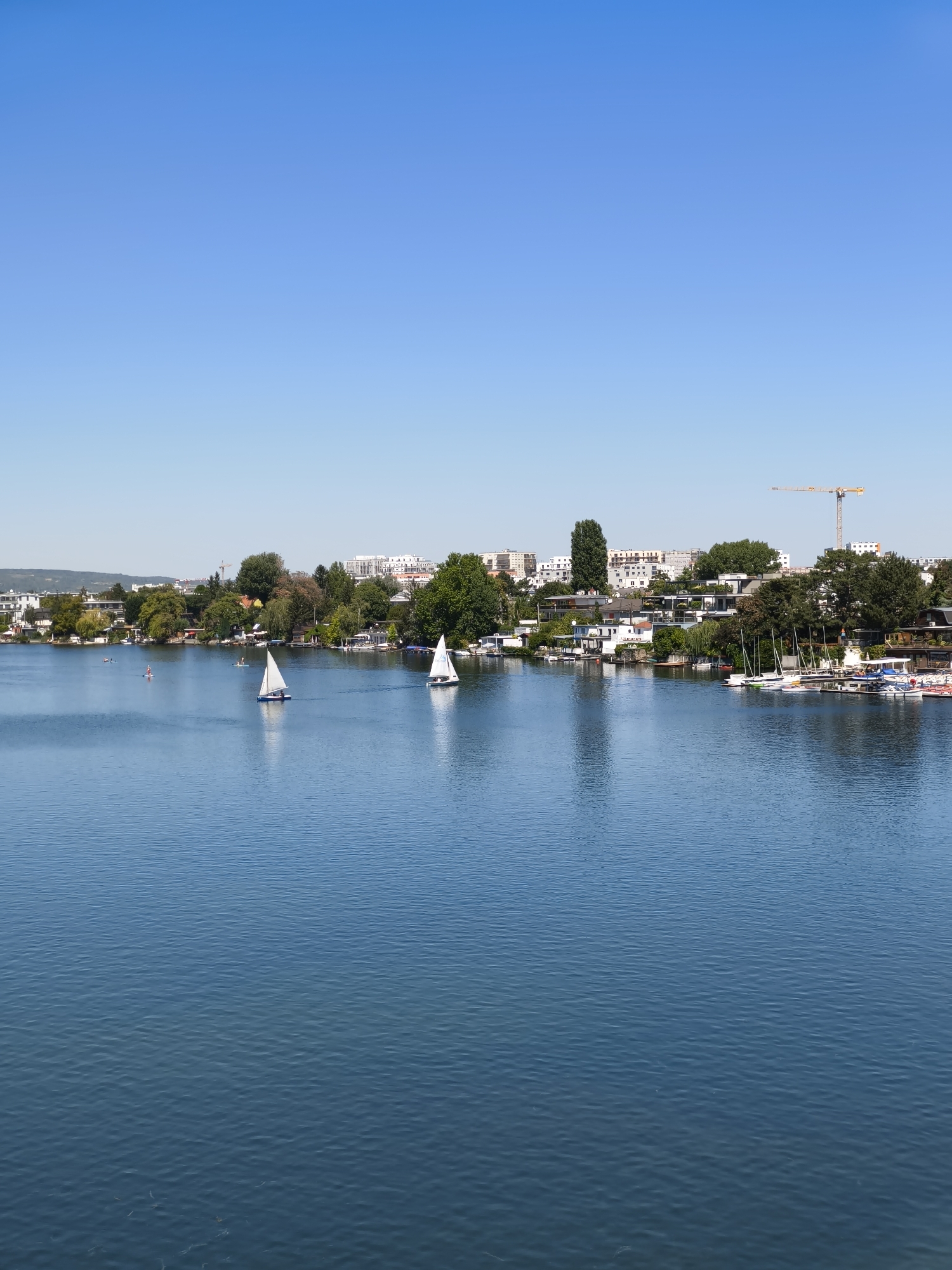 This is a wide shot of a bright, sunny day at the Donaukanal in Vienna, Austria. The sky is a clear, cloudless blue. The foreground is dominated by the deep blue water of the canal, with gentle ripples on its surface. In the middle ground, a number of sailboats are visible, with white sails catching the sunlight. Some of these sailboats are close to shore, while others are further out on the water. Along the far bank of the canal, there is a strip of waterfront properties, including houses, smaller buildings, and boats moored at docks. Trees and green vegetation are interspersed among the buildings, with some larger trees providing shade. In the background, a dense cluster of urban buildings rises, including apartment complexes. A prominent yellow construction crane is visible against the sky, indicating ongoing development in the area. The scene depicts a recreational area within the city, with both natural elements and urban infrastructure coexisting.