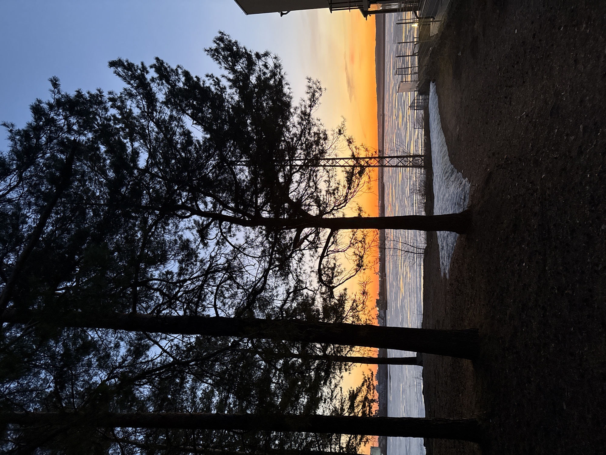 This landscape image captures a serene sunset or sunrise over a body of water in Chaikovsky, Russia. In the foreground and mid-ground, the dark, intricate silhouettes of several tall evergreen trees dominate the left side of the frame, their branches starkly defined against the evolving sky. The sky transitions dramatically from a deep blue on the far upper left to brilliant oranges and yellows near the horizon, indicative of dawn or dusk.
A large body of water, likely a lake or river, occupies the mid-right and background. Its surface appears partially frozen or covered with ice, reflecting the vibrant sky colors in a shimmering, textured pattern. Between the trees and the water lies a narrow strip of dark ground, possibly earth or sparse grass, with visible patches of snow or ice at the water's edge.
Part of a light-colored building is visible in the far upper right, and some metal structures or fences can be seen along the water's bank in the mid-right. The strong backlighting emphasizes the natural forms and creates a tranquil, atmospheric mood. No human activity is depicted, and no visible text is present in the scene.