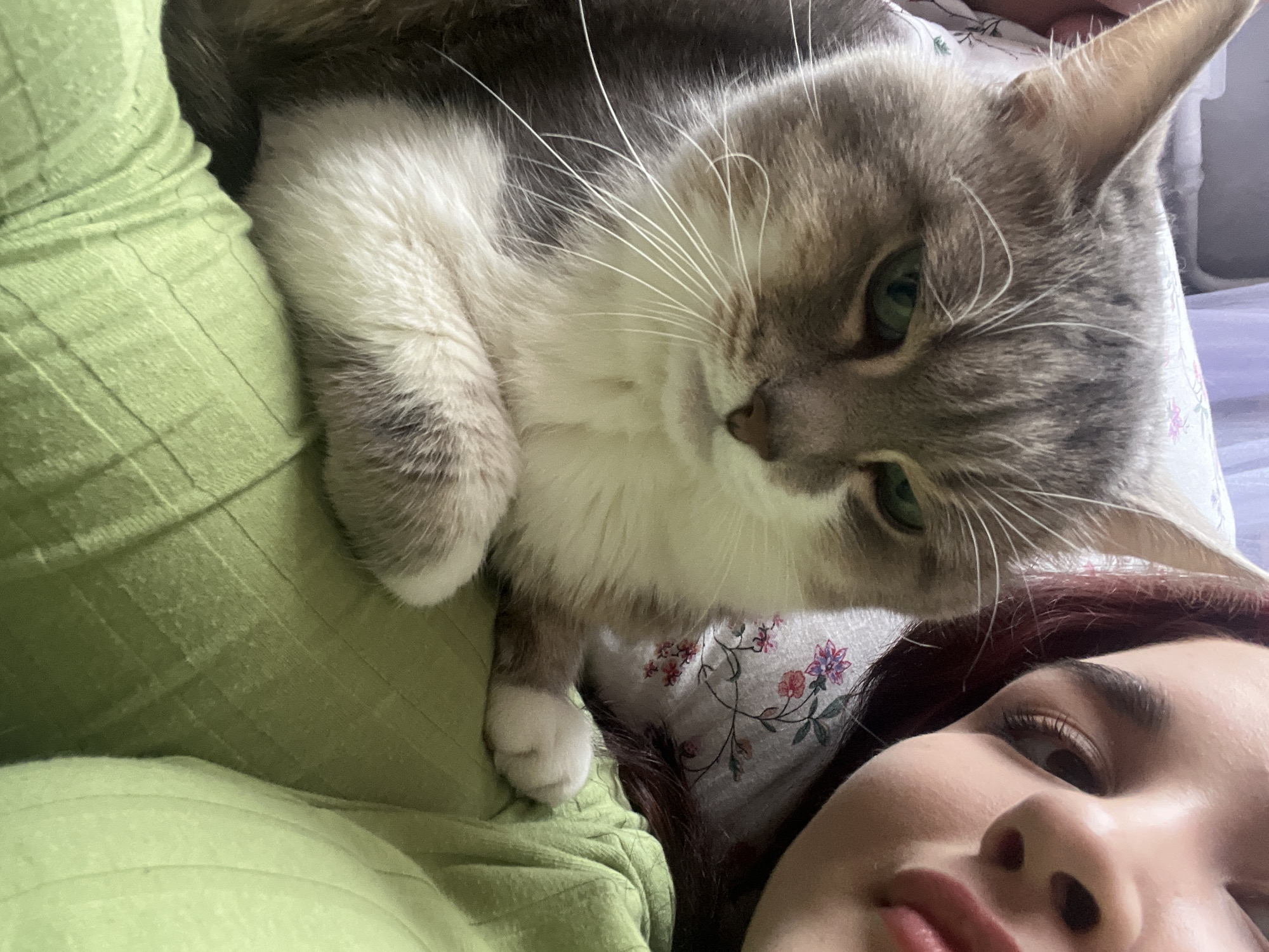 This image, originating from Neftekamsk, Russia, presents an indoor, close-up scene featuring a domestic cat and a partially visible human. A grey tabby cat with white fur on its chest and muzzle, green eyes, and prominent white vibrissae occupies the left and central portion of the frame, facing the viewer with a neutral expression. Its front paws are tucked. To the right, the partial face of a human is visible, showing the right eye, nose, and mouth with pursed lips, along with dark reddish-brown hair. The human wears a light green, ribbed fabric garment, upon which the cat is resting. In the background, a white fabric with a repeating floral pattern, comprising pink, purple, and green elements, is visible, suggesting a bed or soft furnishing environment.