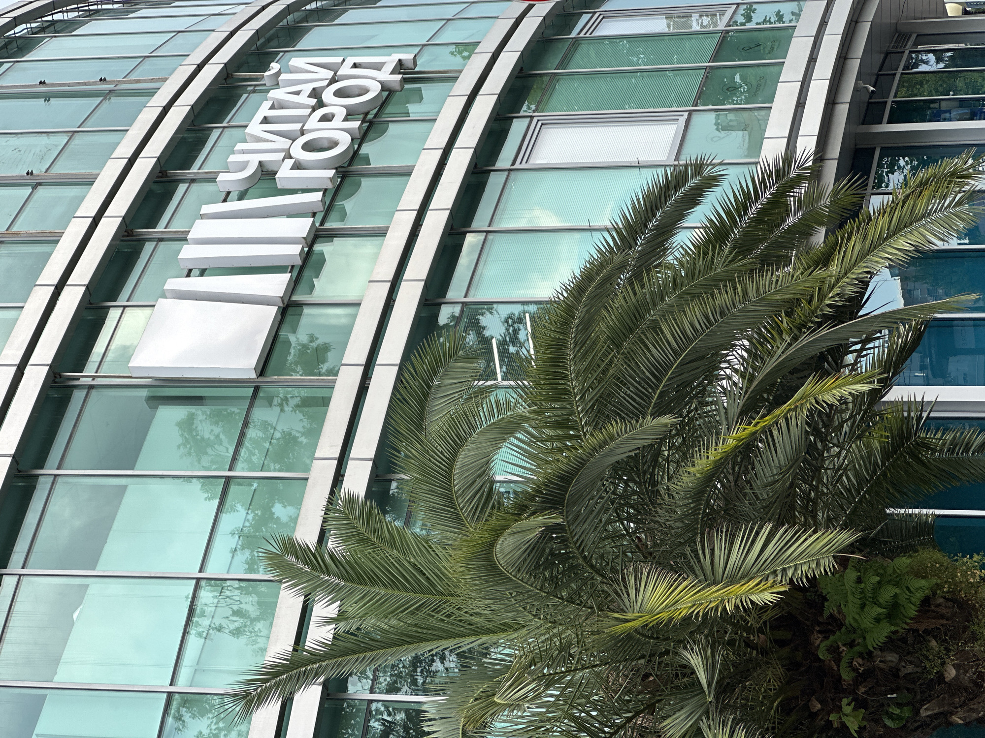 A medium shot captures the exterior of a modern building with a curved glass facade in Sochi, Russia. A large palm tree with lush green fronds dominates the left side of the frame, obscuring a portion of the building. The building's facade features large, tinted glass windows, some of which are covered by blinds. Silver trim outlines the windows and horizontal bands separate the floors. Prominently displayed on the building's upper section are large, white, three-dimensional letters spelling "ЧИТАЙ ГОРОД" (Chitai Gorod), which translates to "Read City," a well-known Russian bookstore chain. Reflections of trees and the sky are visible on the glass. The scene appears to be on a cloudy day. No people are visible in the image.