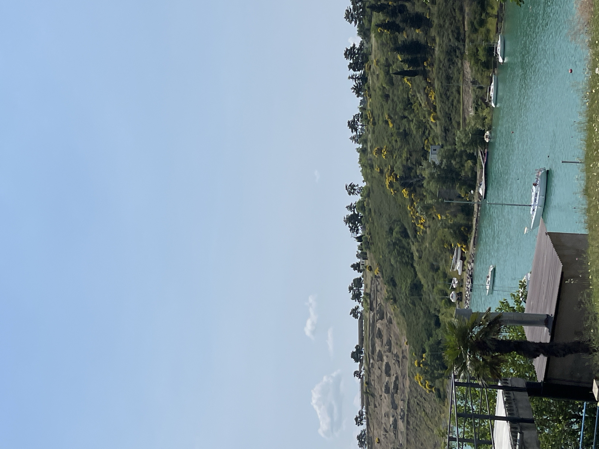 This is a landscape photograph taken on a clear day at the Tbilisi Sea, a reservoir located north of Tbilisi, Georgia. The image captures a view of the reservoir with several boats docked or sailing on its turquoise waters. The foreground features a concrete structure with a railing and a palm tree, suggesting a waterfront area. Beyond the water, a lush green hillside is visible, dotted with trees and yellow wildflowers. The hillside has terraced areas, possibly remnants of past construction or natural formations. The sky above is a pale blue with a few wispy clouds. Several white sailboats of varying sizes are scattered across the water, with some closer to the shore and others further out. In the background, a small white building is nestled amongst the trees on the hillside. The overall scene depicts a tranquil and scenic view of the Tbilisi Sea on a sunny day.