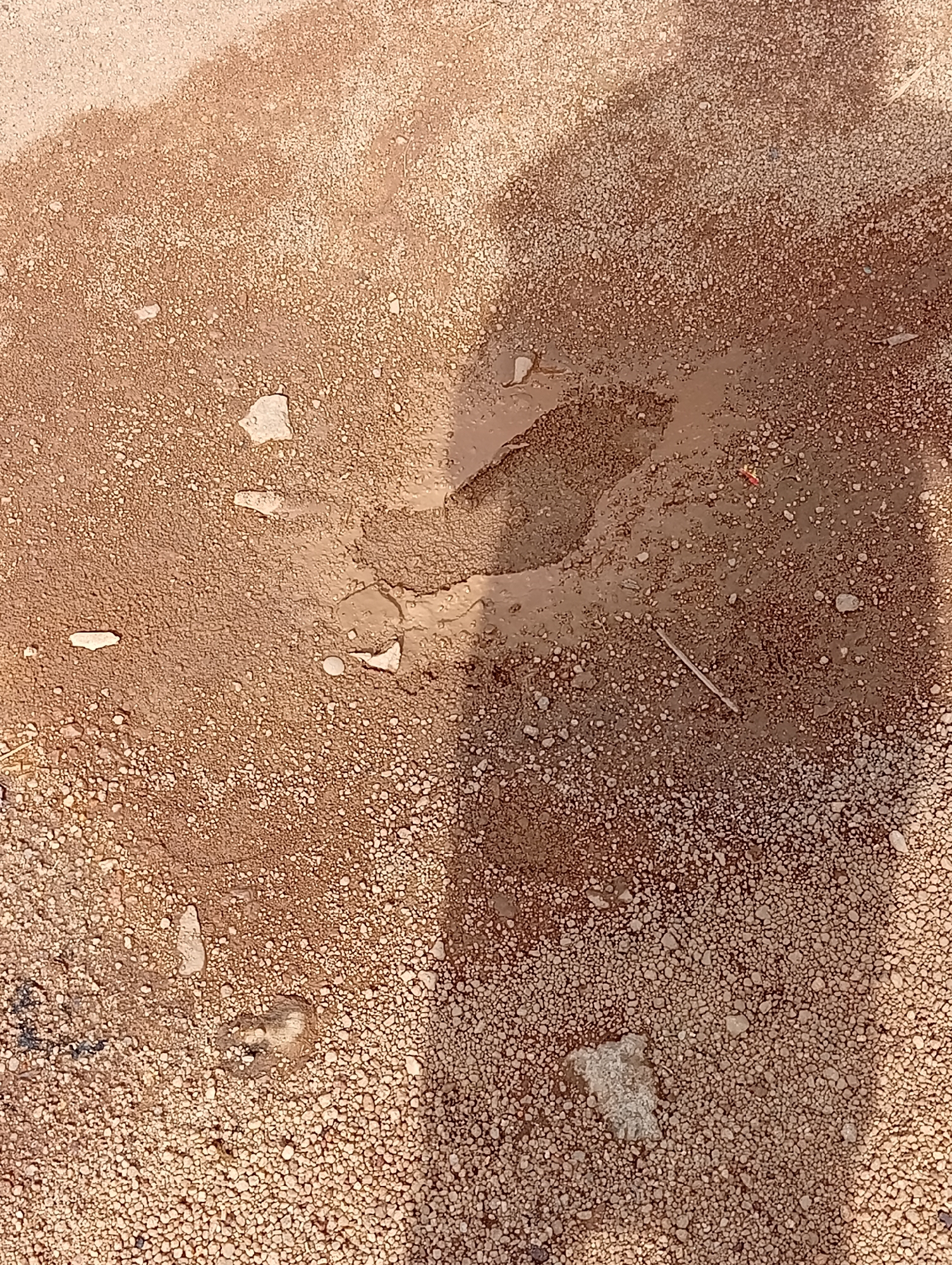 This image shows a close-up view of a muddy patch of ground, likely a puddle formed by recent rainfall. The ground is composed of small, light brown pebbles and dirt. Several flat, light-colored stones are scattered across the surface.
A prominent feature is a distinct footprint pressed into the mud, indicating recent human activity. The footprint appears to be from a shoe with a patterned sole. The surrounding area is dry, suggesting the puddle is a localized accumulation of water. A thin, dry twig or straw lies across the muddy area. The lighting suggests it is daytime, with shadows cast across the ground, possibly from an unseen person or object to the right.
The overall scene depicts a common occurrence in an outdoor environment, possibly a path or unpaved area after rain. The location context of Jos, Nigeria, implies a tropical climate where rain and subsequent puddles are expected. There is no visible text in the image.