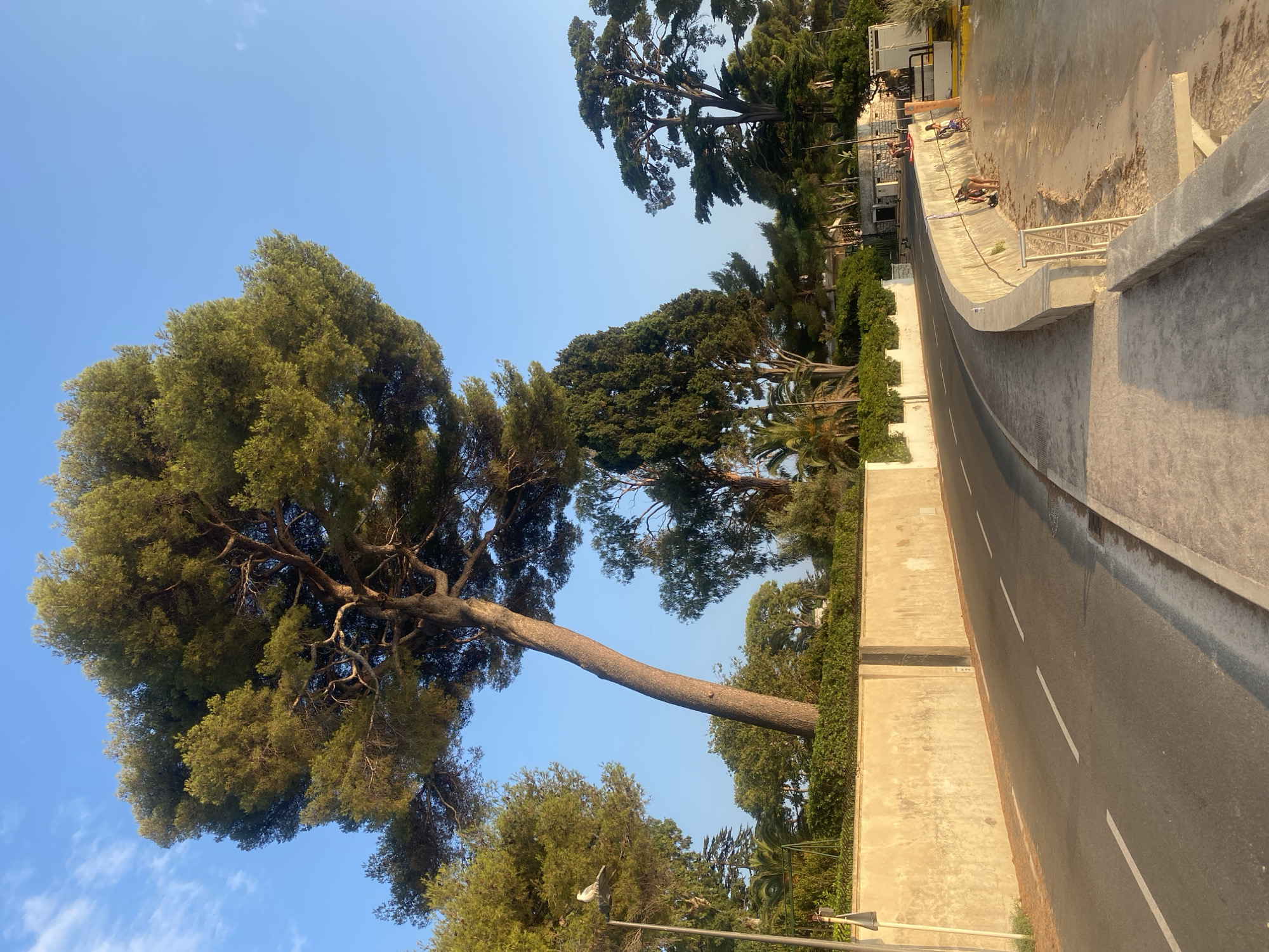 A coastal road curves to the right, bordered by a stone retaining wall and a sandy beach. The road is paved with asphalt and marked with white dashed lines. A concrete sidewalk runs alongside the beach. Several trees, including a large pine tree, are visible behind the retaining wall. The sky is clear blue with a few wispy clouds. On the beach, two people are visible. One person, appearing to be a child, is sitting on the sand. Another person, also appearing to be a child, is standing in the shallow water at the edge of the beach. The scene is illuminated by the warm light of what appears to be early morning or late afternoon. The location is identified as being in Antibes, France.