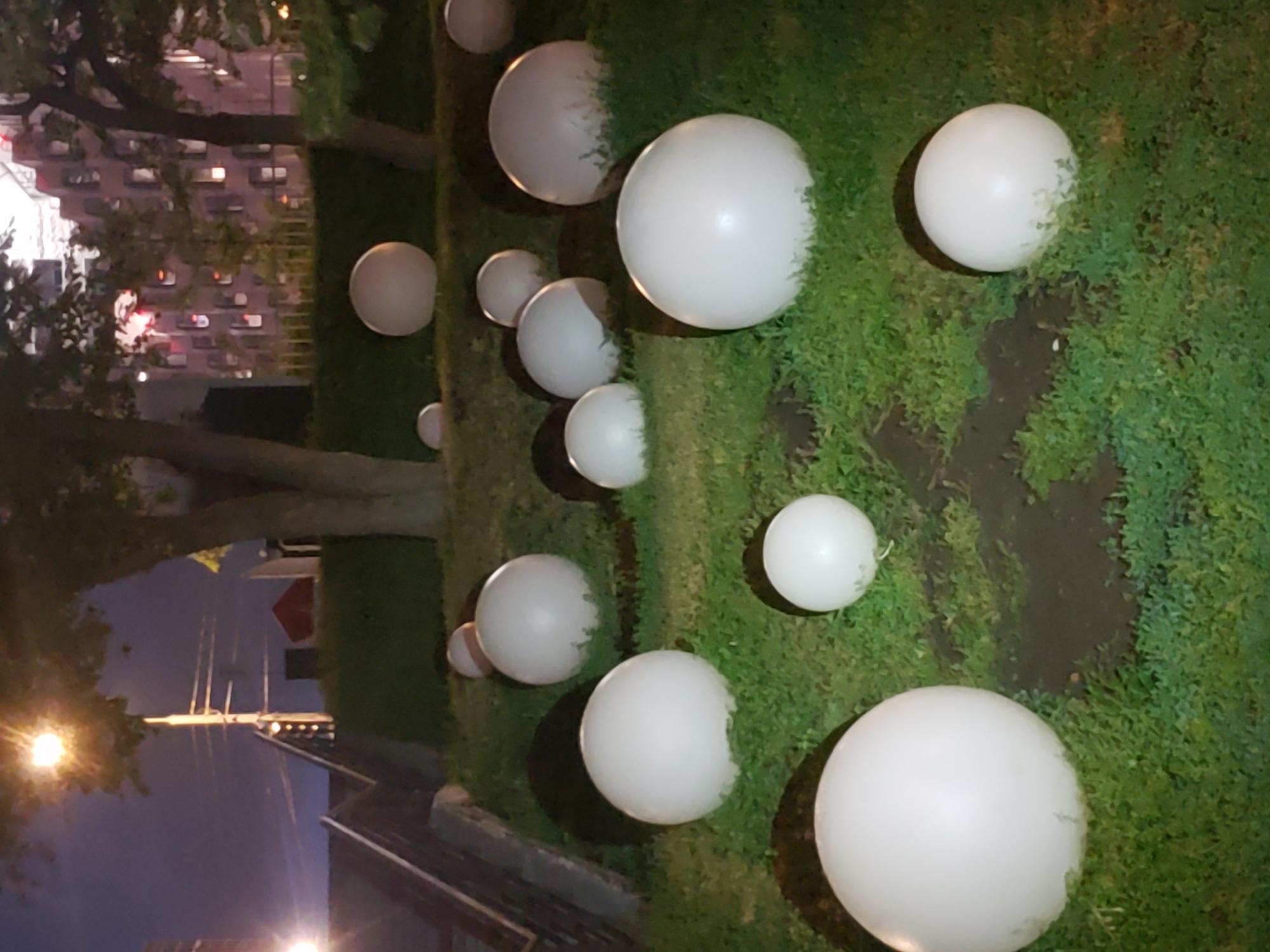 A collection of large, white, spherical objects are scattered across a grassy area. The objects vary in size, with some appearing to be significantly larger than others. They are evenly distributed, creating a visually striking display. The grass surrounding them is lush and green, suggesting an outdoor setting. In the background, a building with multiple windows is visible, hinting at an urban or suburban environment. Trees with dark branches are also present, framing the scene. The lighting appears to be dim, possibly indicating dusk or nighttime, as the building's windows are illuminated. The overall impression is one of an art installation or a decorative arrangement designed to catch the eye.