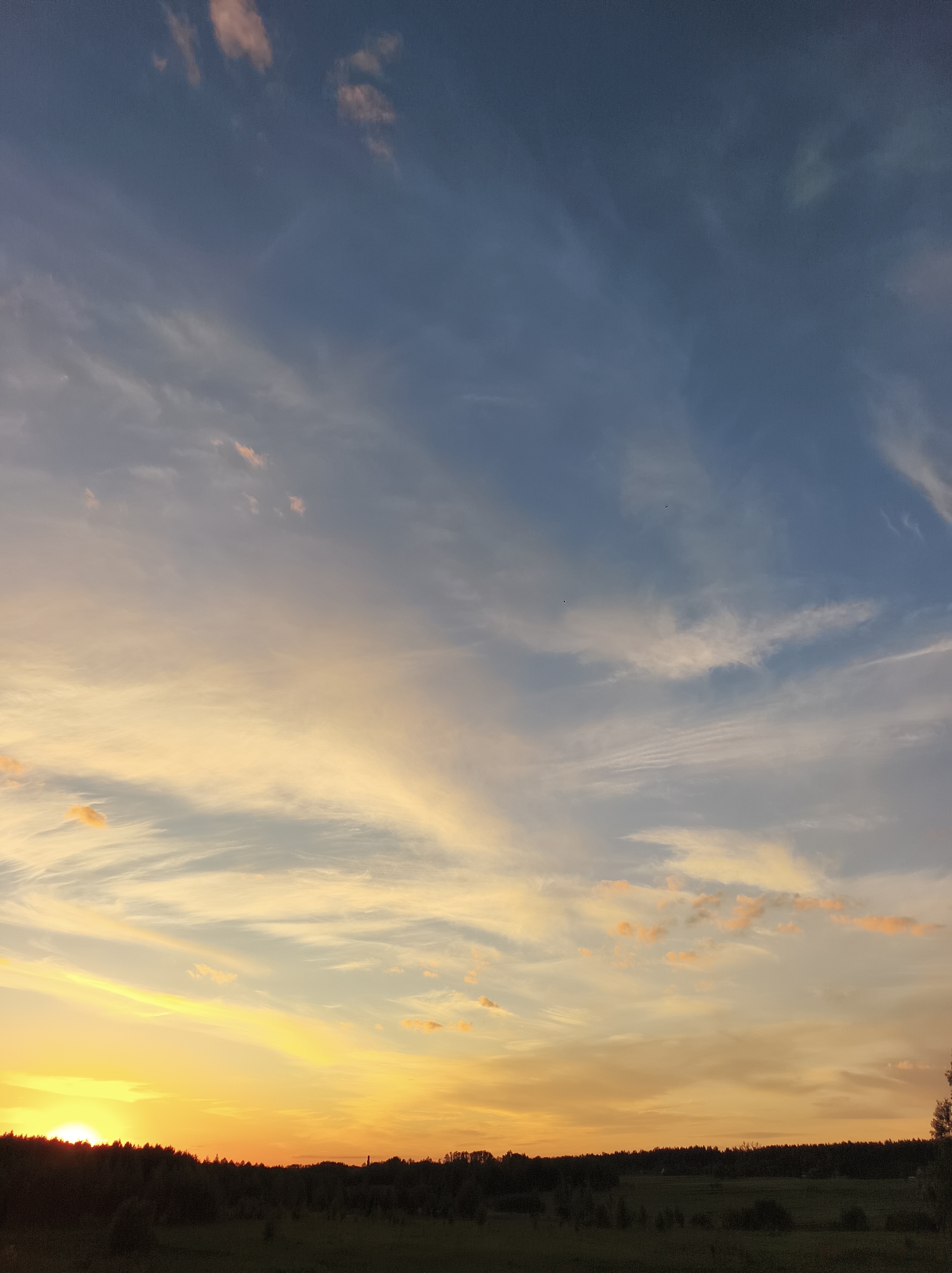 The image depicts a sunset scene in Vyshevychi, Ukraine. A field with low vegetation occupies the foreground. Beyond the field is a line of trees, silhouetted against the setting sun. The sky is predominantly blue with streaks of orange and yellow light filtering through the clouds near the horizon. The sun is partially obscured by the trees, creating a warm glow.