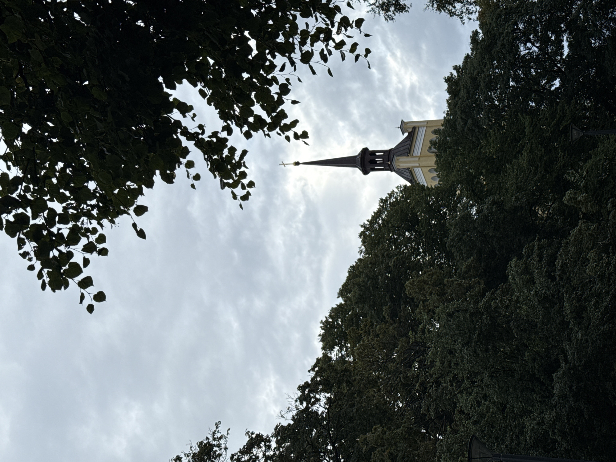A church tower with a cross on top is visible through the dark green foliage of trees. The tower is light yellow and has a black steeple. The sky is cloudy and overcast. The scene appears to be set in a park or garden in Tallinn, Estonia.