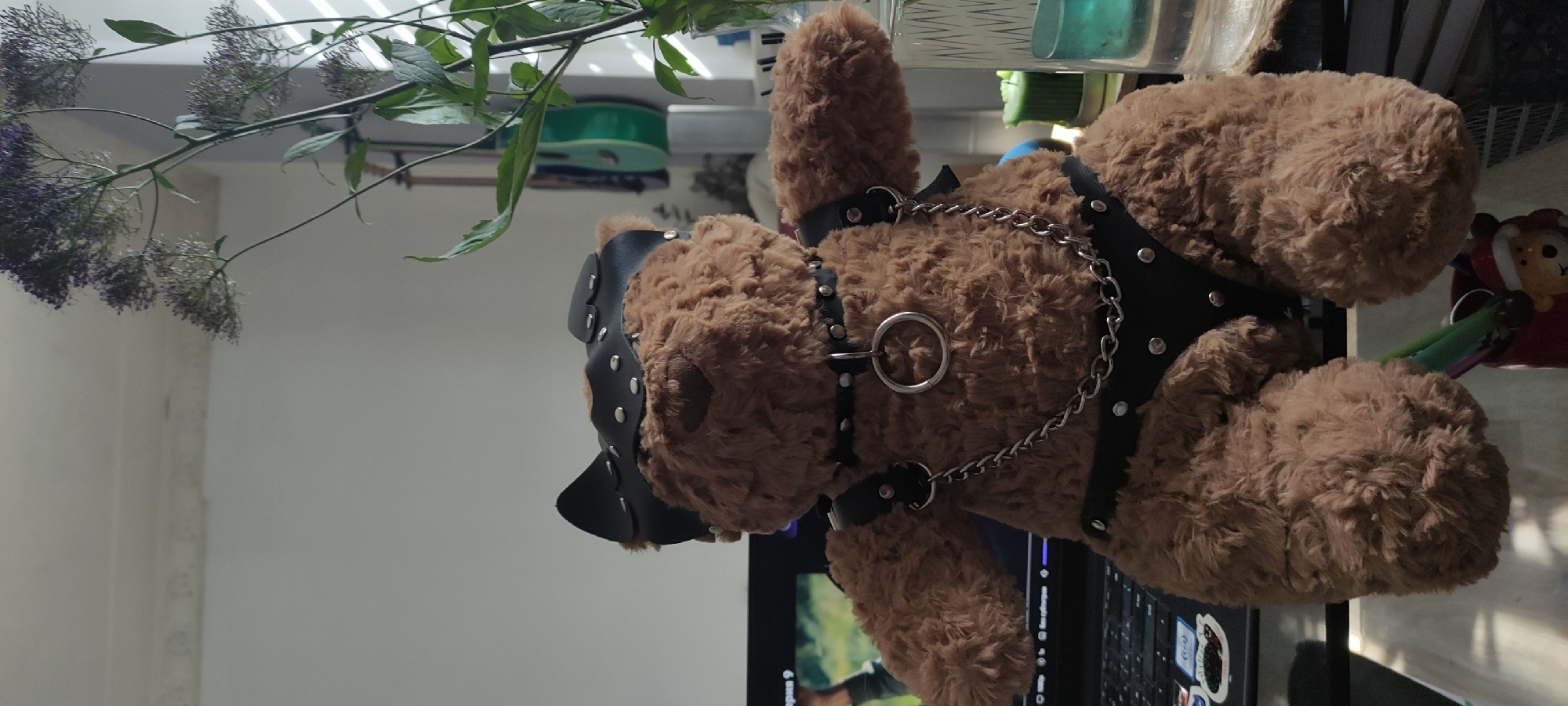 A brown teddy bear wearing a studded black leather harness and a muzzle is sitting on a desk. The bear is positioned next to a laptop and in front of some plants with green leaves and purple flower clusters. A partially visible object, possibly a figurine, is located to the right. The scene is lit by natural light from a nearby window. The location is likely indoors in Fryazino, Russia, based on the presence of a computer keyboard with Russian letters.