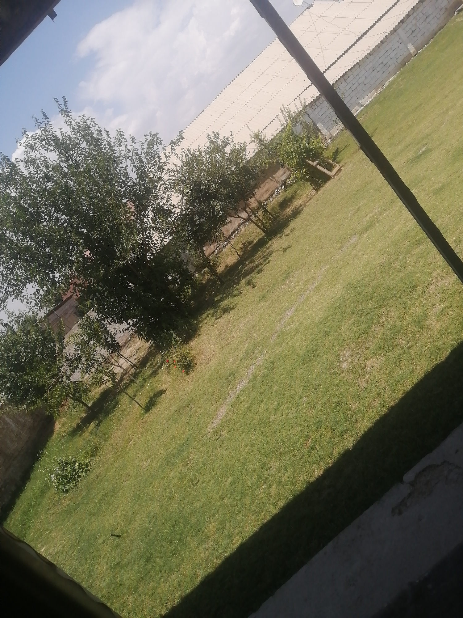 The image depicts an outdoor scene with a focus on a grassy yard and trees. A portion of a building with a light-colored roof and a white brick wall is visible in the background. The yard is green and appears to be well-maintained, with some areas of dry grass. There are several trees scattered across the yard, with lush green foliage. In the foreground, there is a dark shadow cast by an unseen object, possibly a railing or a roof overhang. The sky is partly cloudy with a bright blue expanse. There are no people or animals visible in the image. The scene appears to be a residential or park-like setting.