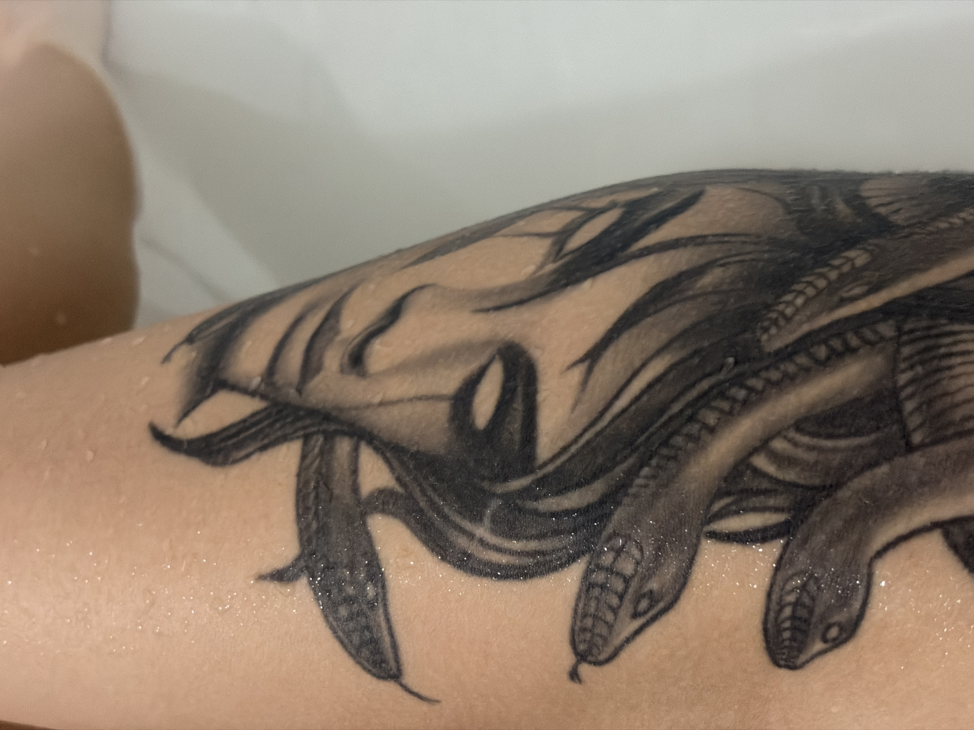 A close-up shot captures a person's wet skin, likely an arm or leg, adorned with a detailed black and grey tattoo. The skin is covered in numerous small, reflective water droplets, suggesting the person is bathing or has recently been in contact with water.
The prominent tattoo depicts a figure reminiscent of Medusa. A stylized face is partially visible towards the top and center, characterized by a prominent eye with a dark pupil and defined brow, and shading that suggests a forehead and nose structure. Instead of hair, several snake heads are intricately woven into the design. At the lower part of the tattoo, multiple snake heads are clearly distinguishable, showing intricate scale patterns, distinct eyes, and hints of forked tongues. The overall style of the tattoo is illustrative with strong shading and fine lines.
The background is a plain, light, and out-of-focus surface, possibly indicating an indoor setting like a bathroom, such as the side of a bathtub or a shower wall. There are no other discernible objects or activities. No text is visible in the image.