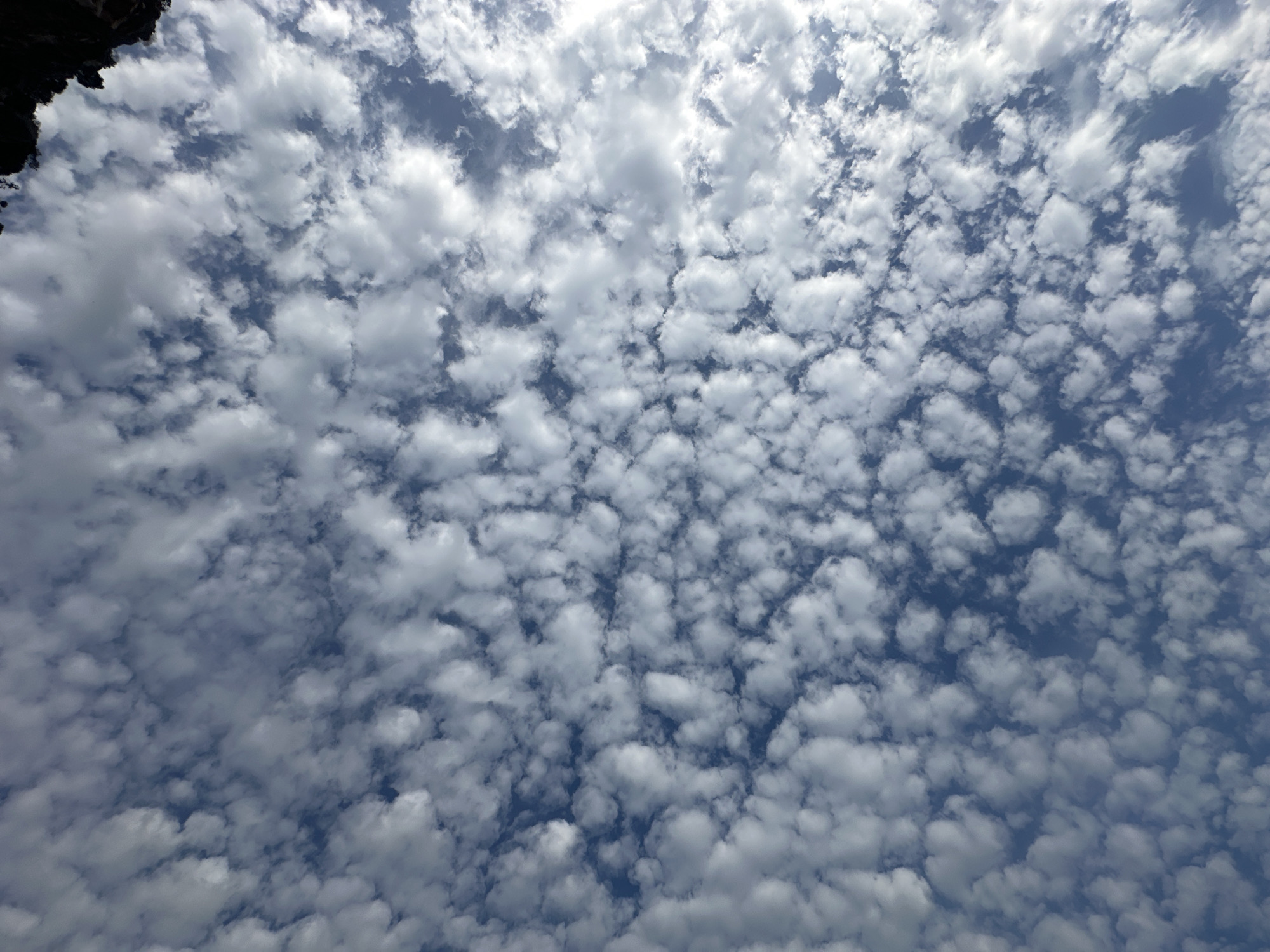 The image displays a bright blue sky over Mirište, Montenegro, densely populated with numerous small, white, cumuliform clouds, characteristic of altocumulus or stratocumulus formations. Clear patches of blue sky are visible through the cloud cover. Daylight illumination is evident. A dark, irregular mass, consistent with a cliff face or dense vegetation, partially obscures the sky in the upper right quadrant of the frame. No individuals, identifiable man-made structures, or specific activities are depicted.