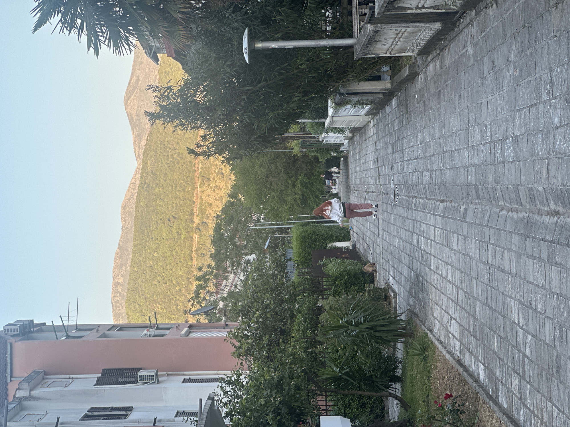 The image, correctly oriented, depicts a paved pedestrian walkway in Budva, Montenegro, framed by buildings and lush greenery, with large mountains in the background under a clear sky.
In the mid-ground, a person walks away from the camera along the light grey, rectangular-block paved path. They are wearing a white or off-white hoodie/jacket and reddish-brown pants. A small, light-colored dog is visible on the right side of the path, slightly behind the person.
The pathway is lined with various green plants, bushes, and trees, including palm-like vegetation and a small red rose bush. On the left, multi-story residential buildings with balconies, air conditioning units, and rooftop antennas are visible. Streetlights are spaced along the path.
The large mountains in the background are covered in dense green vegetation, illuminated by soft, low-angle sunlight, suggesting either early morning or late afternoon. The overall scene conveys a calm and serene atmosphere. There is no discernible text visible within the image.