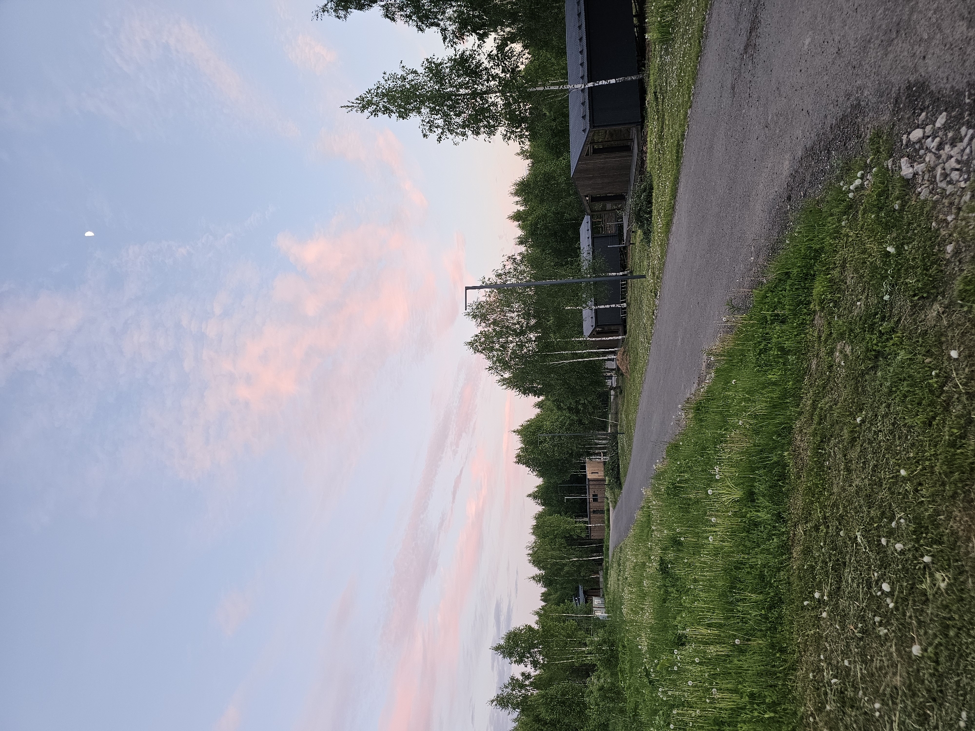The image shows a view in Dernovo, Russia, at dusk. The sky is a pale blue with streaks of pink clouds. A sliver of the moon is visible in the upper left. A row of dark, modern buildings is aligned along a path that runs from the upper right towards the lower center of the frame. Trees border the path and buildings. The ground is covered with green grass, speckled with dandelions. A paved path runs alongside the buildings and through the grassy area.