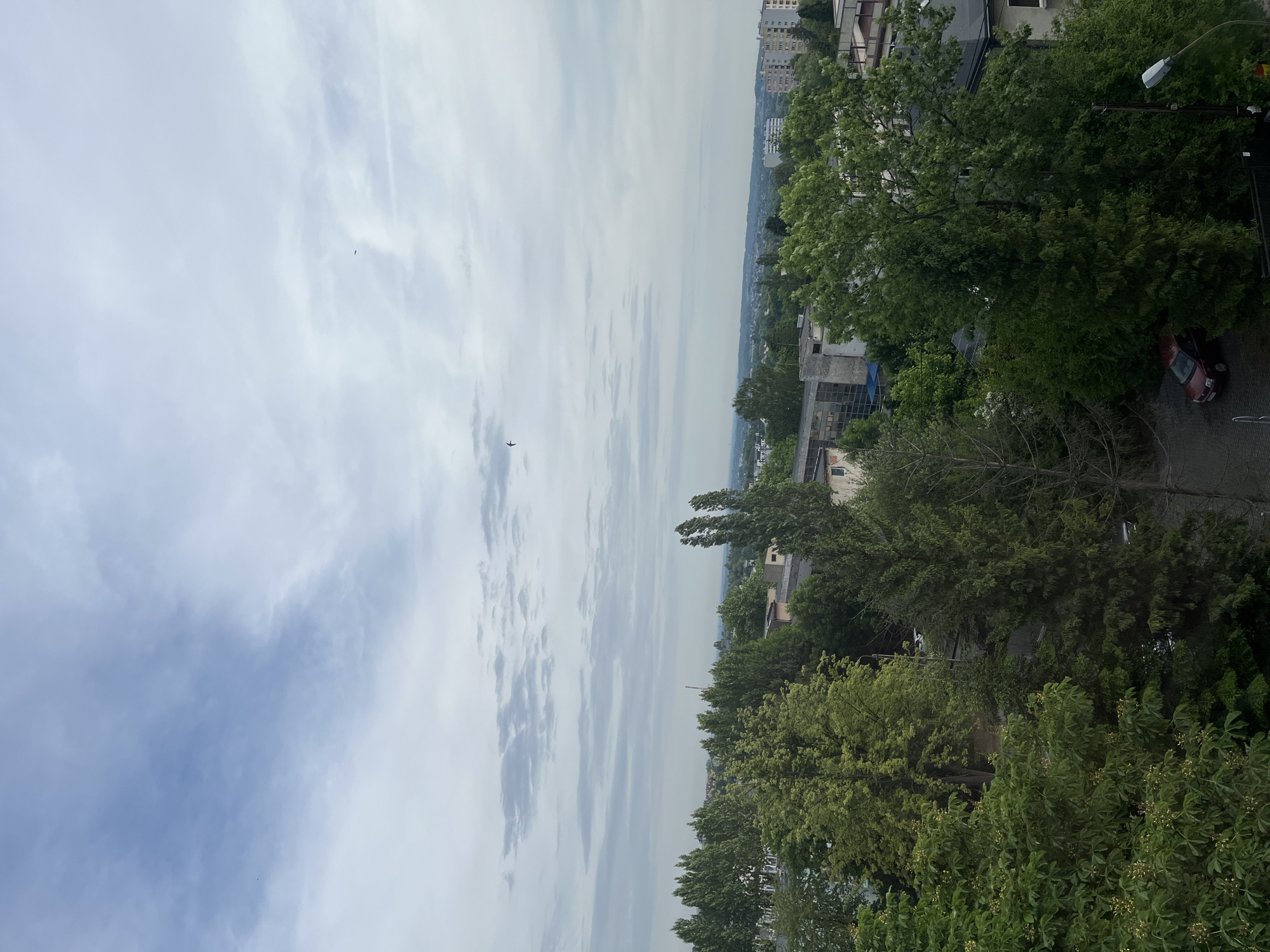 The image presents an outdoor, high-angle view of an urban or suburban landscape, likely captured from an elevated position such as a building or a hill. The sky dominates the upper portion, displaying light blue tones with scattered, wispy, and somewhat hazy clouds, indicative of an overcast or partly cloudy day. A small, dark object, resembling an airplane or a bird, is visible in the upper-left quadrant of the sky.
Below the sky, a distant horizon line reveals a sprawling cityscape with numerous buildings and a dense expanse of green trees, fading into the background haze. The mid-ground and foreground are heavily populated by lush green trees, mostly deciduous, with full foliage. Several multi-story buildings, characterized by grey and beige facades, are partially visible peeking through or behind the tree canopy.
On the far right of the foreground, a paved street or road is discernible, where a dark red car is parked. A street light with a metal pole and a lamp fixture stands adjacent to the road. The overall lighting in the scene is soft and diffuse, suggesting a time of day other than harsh midday sun, possibly early morning or late afternoon, under overcast conditions. No discernible text is visible in the image.