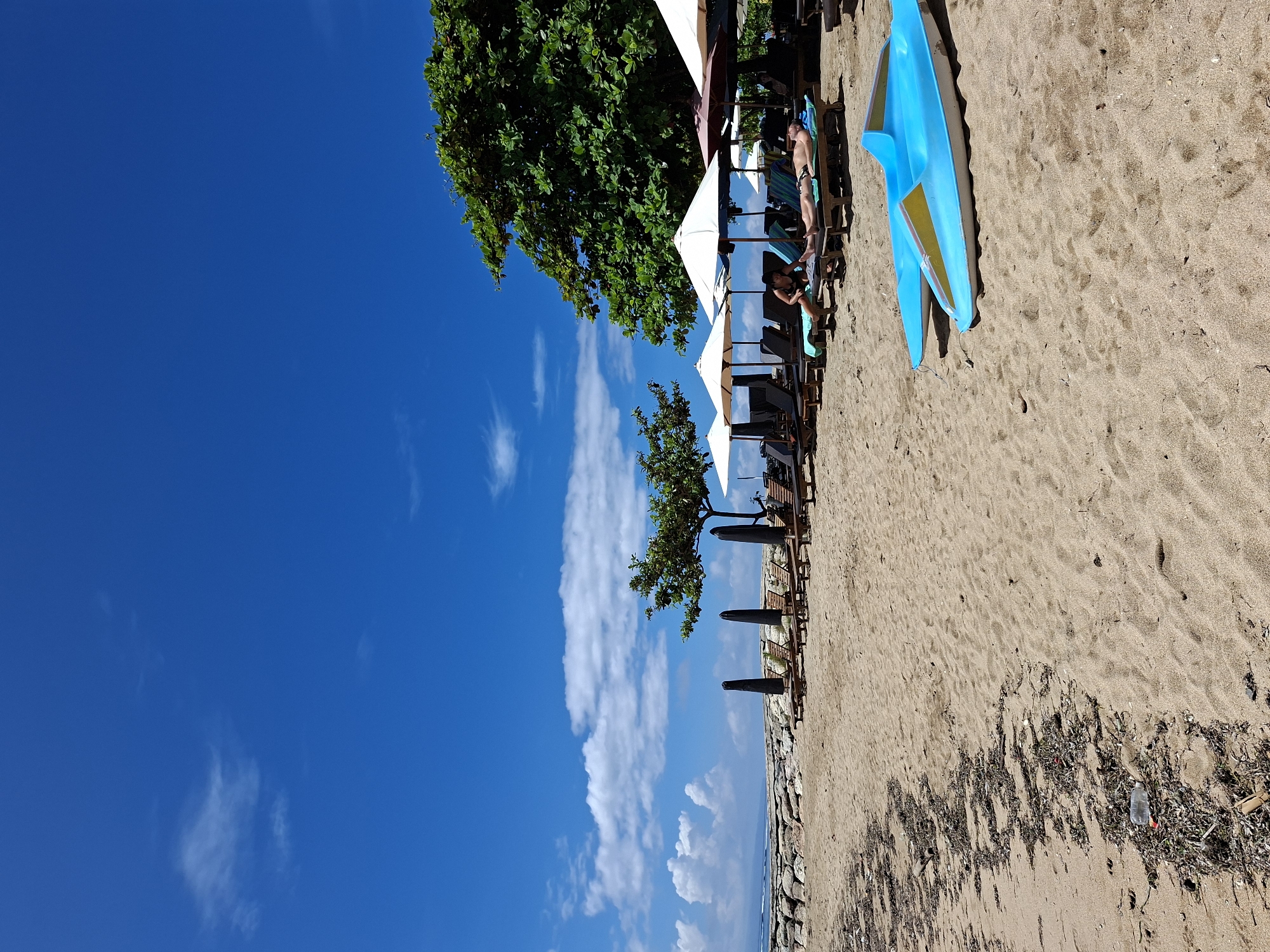 This image depicts a sunny beach scene, likely in a tropical location such as Denpasar, Indonesia. The setting features a wide expanse of light brown sand, a clear blue sky with scattered white clouds, and lush green trees.
In the mid-ground, a row of dark-colored beach chairs with light blue towels is arranged under a series of white and darker umbrellas. Two individuals are visible relaxing on these chairs. One person, a man wearing swim shorts, is lying down and sunbathing. Another person, appearing to be a woman, is also reclining on a chair further along the row.
To the right of the people, a prominent bright blue paddleboard or surfboard with yellow accents rests on the sand. Further into the background, the calm blue ocean can be seen gently meeting the shoreline, with a visible rock barrier or seawall.
Several large, leafy green trees provide natural shade alongside the umbrellas. The sky is a vibrant, clear blue, indicating bright, sunny weather. The overall impression is one of leisure and relaxation. In the bottom right corner of the sand, there is some accumulation of dark seaweed and a discarded clear plastic bottle, indicating a small amount of litter. There is no visible text in the image.