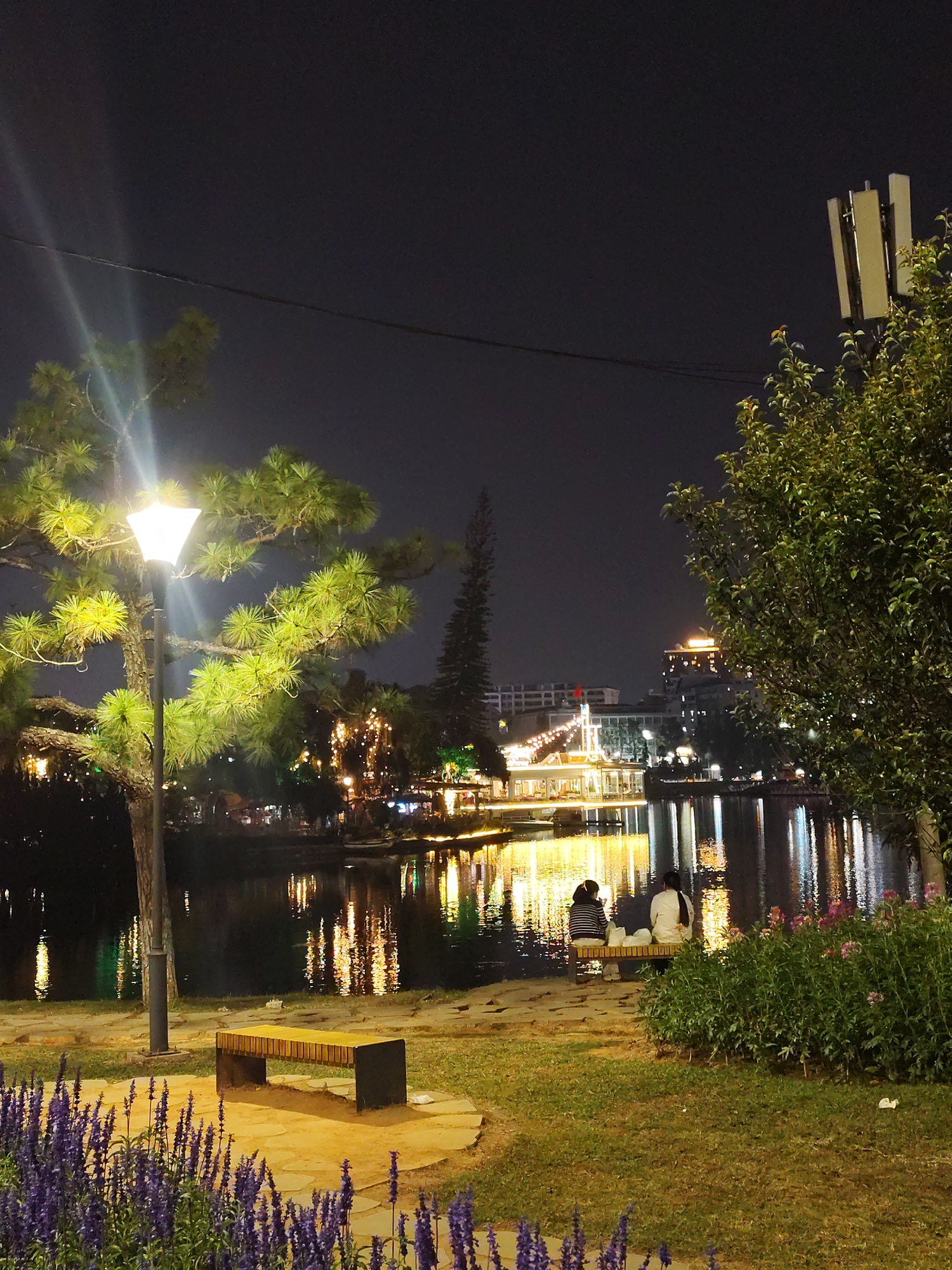 At night, two women sit on a bench on the shore of Xuan Huong Lake in Da Lat, Vietnam. The lake reflects the lights of the city, which are primarily orange, yellow, and white. A street lamp stands near the bench, illuminating a pine tree. Another tree stands to the right of the women. Purple flowers grow in the foreground. Another bench is partially visible in the lower left. The night sky is dark. In the distance, buildings with lighted windows can be seen.