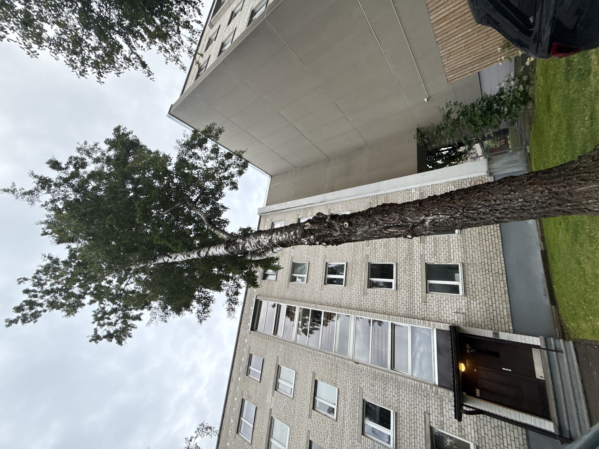 An outdoor, low-angle, wide shot shows the exterior of a multi-story building in Tallinn, Estonia. The building is constructed of light-colored brick and features numerous windows, some of which are tall and narrow, spanning multiple floors. A large tree with dark bark and green foliage grows in front of the building, partially obscuring the brickwork and reaching towards the overcast sky. The building's facade is partially obscured by a neutral-colored, angled section on the right side of the frame, suggesting an architectural extension or different building section. Green grass covers the ground in front of the building, and a dark-colored car is visible on the far right. The overall impression is of a residential building in an urban setting on a cloudy day.