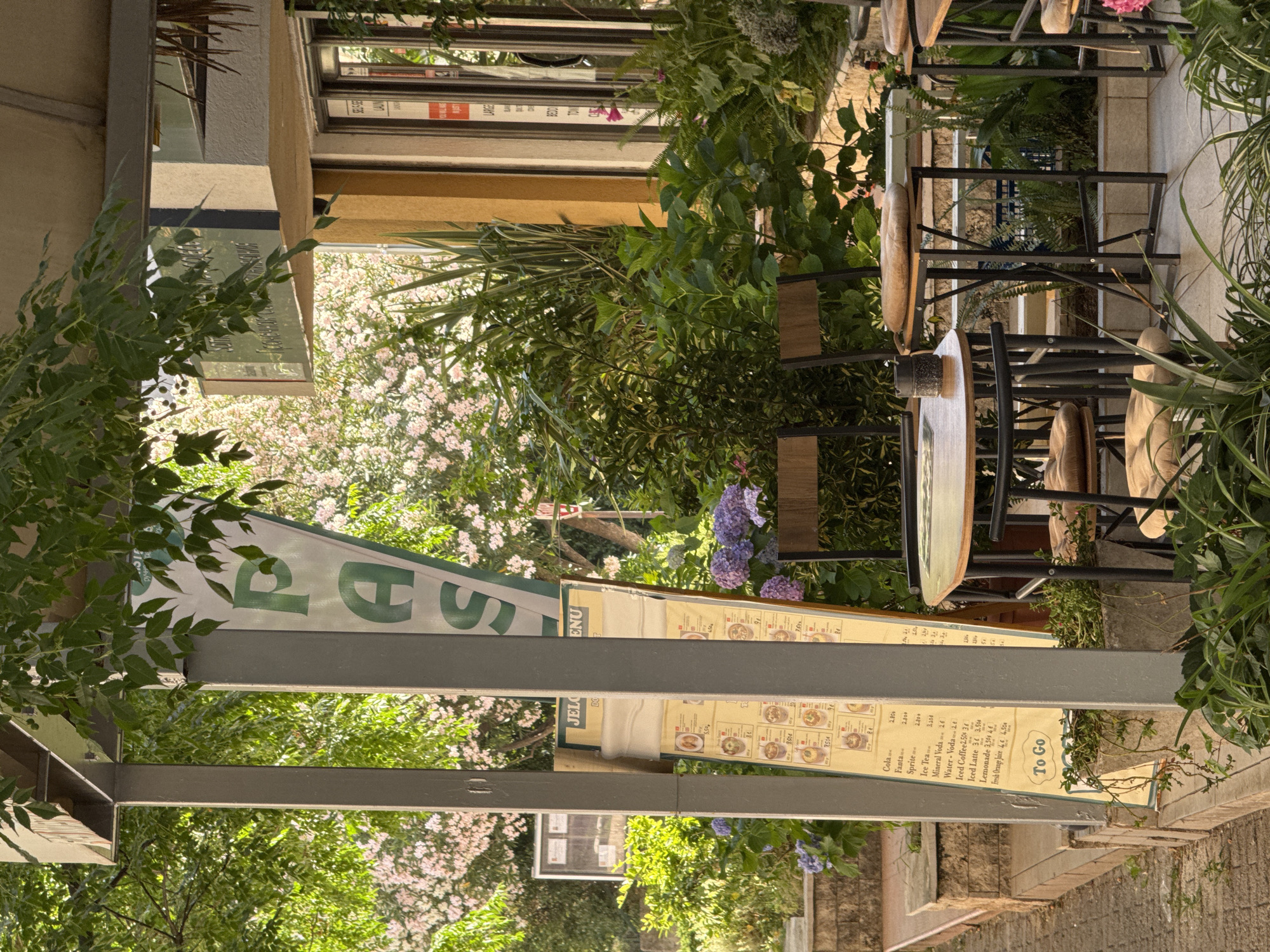 The image depicts an outdoor seating area of a cafe or restaurant. A tall, narrow menu board is placed on the left side of the frame, displaying prices for drinks such as "Cola," "Fanta," "Sprite," "Ice Tea," "Mineral Voda," "Water - Voda," "Iced Coffee," "Lemonade," and "Fresh Orange Juice." The menu board also includes a section labeled "To Go."
There are two sets of outdoor tables and chairs. The first set, on the left, features a round table with a single chair. The second set, on the right, includes two chairs pulled up to a small, square table, and another similar table with chairs is partially visible to the far right. The tables have a minimalist design with dark metal frames and light-colored wooden tops. The chairs have dark metal frames and light brown cushioned seats. An ashtray is on the round table.
The setting is lush and green, with a profusion of plants and flowers. Hanging foliage from above casts dappled shadows. In the background, there are clusters of light pink flowers, likely blooming trees or bushes, and vibrant purple hydrangeas. A building with a yellow facade is visible behind the greenery. A sign with green lettering, partially obscured by foliage and metal supports, displays the letters "P A S." The ground is paved with light-colored stones and concrete. The overall impression is of a tranquil and inviting outdoor dining space.
This scene is located in the city of Budva, Montenegro, as indicated by the context.