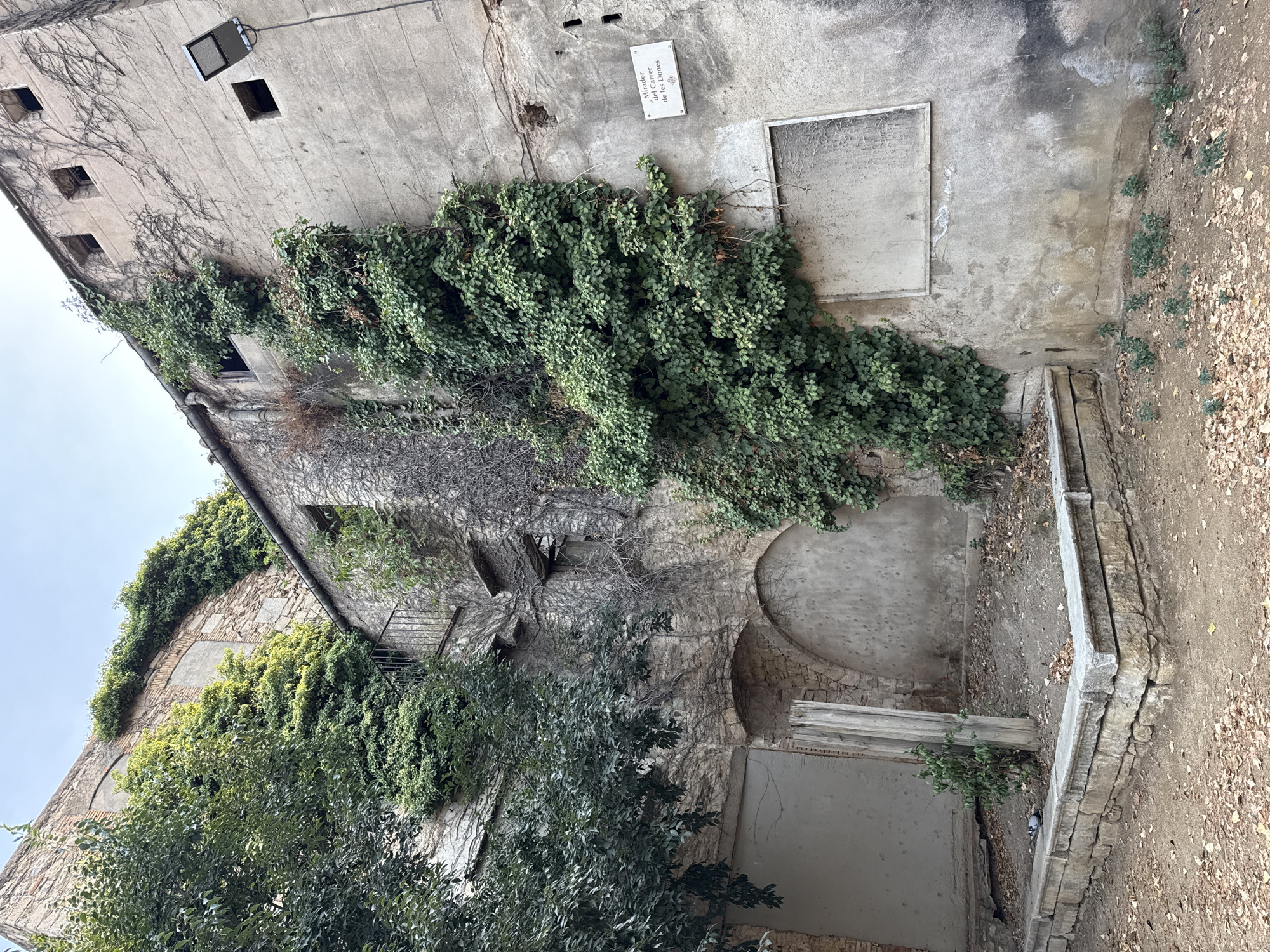 The image depicts a courtyard of an old, weathered building in Girona, Spain, heavily overgrown with ivy. The building's facade is a mixture of rough stone and aged stucco, with visible signs of decay, including cracks and discolored patches. Several boarded-up windows and arched openings are present, suggesting abandonment or disuse. A small balcony with an iron railing protrudes from one section of the building.
In the foreground, a low stone wall encloses a raised, dirt-filled area with scattered leaves and a few small green plants. A pigeon is resting on the edge of this stone structure. To the right of the courtyard, a modern floodlight is mounted on the wall, illuminating the area. A rectangular plaque bearing text, likely a street sign, is affixed to the right-hand wall. The sky above is overcast. The overall impression is one of disrepair and the encroaching power of nature reclaiming an urban structure.