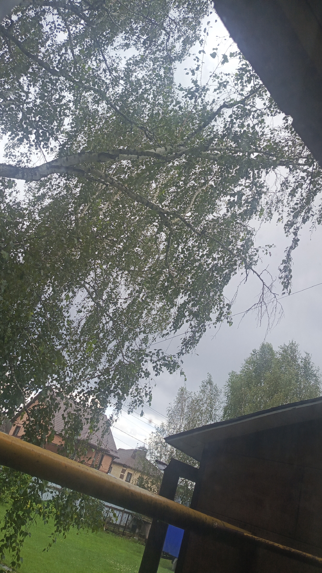 The image, taken from a low angle looking upwards, depicts a cloudy sky partially obscured by the branches and leaves of a birch tree. In the foreground, a thick yellow pipe runs diagonally across the frame. Behind the pipe, a wooden structure with a peaked roof is visible on the right. Further back, several houses with tiled roofs are seen, set against a backdrop of green grass and more trees. The overall scene suggests a residential area.