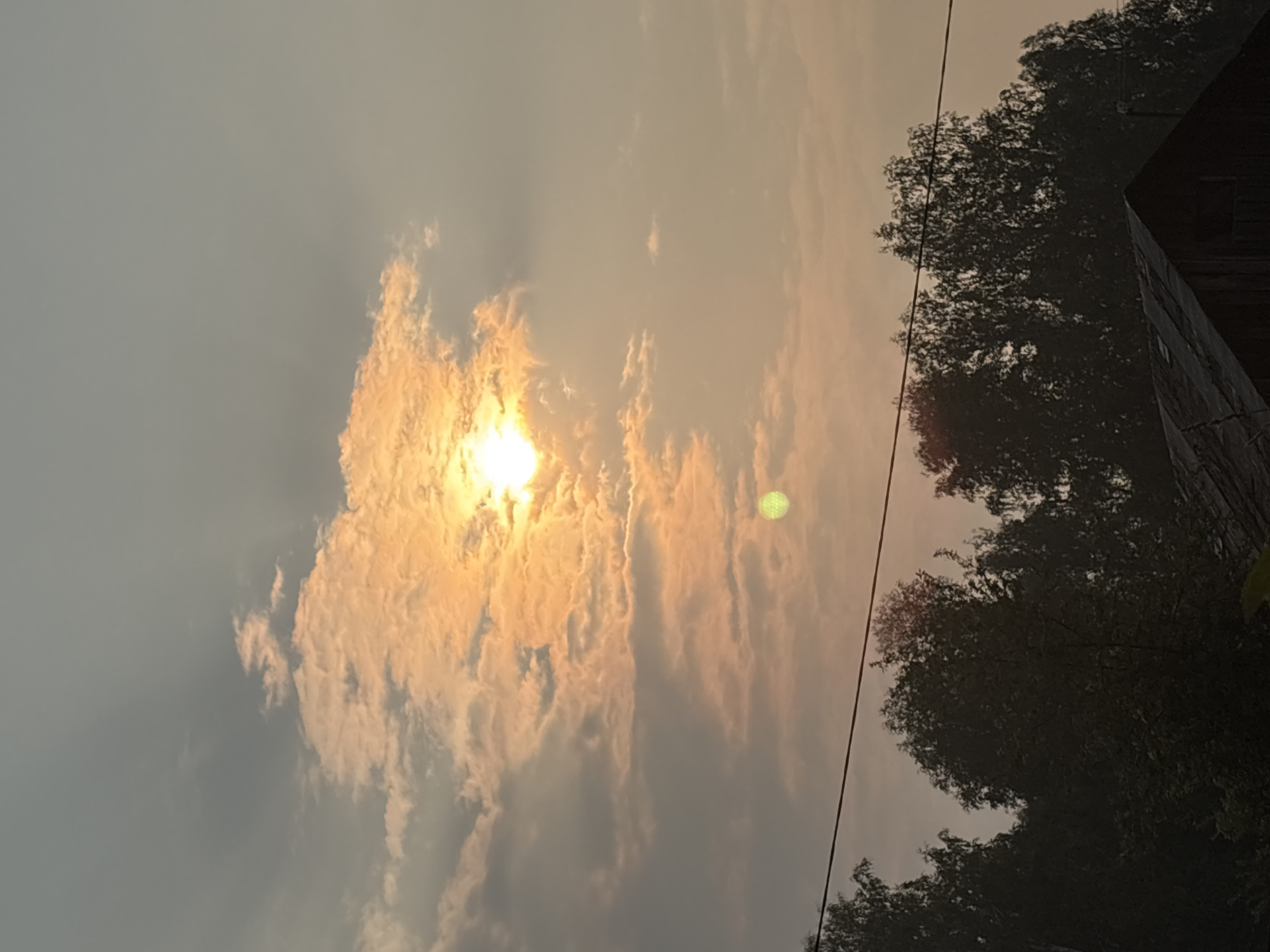 The image depicts a rural landscape scene at sunset, with the sky dominated by warm hues of orange and yellow as the sun shines through scattered clouds. A faint, greenish orb, possibly a reflection or lens flare, is visible in the lower-middle section of the sky. Silhouetted against the sky are the dark, dense tops of trees, suggesting a forest or grove. A thin, dark power line stretches horizontally across the mid-ground, intersecting the trees. In the foreground, the roof of a dark-colored building with a corrugated or weathered surface is partially visible. The overall atmosphere is serene and natural, indicative of an outdoor setting in Dubrovino, Russia. There are no people or animals visible in the frame.