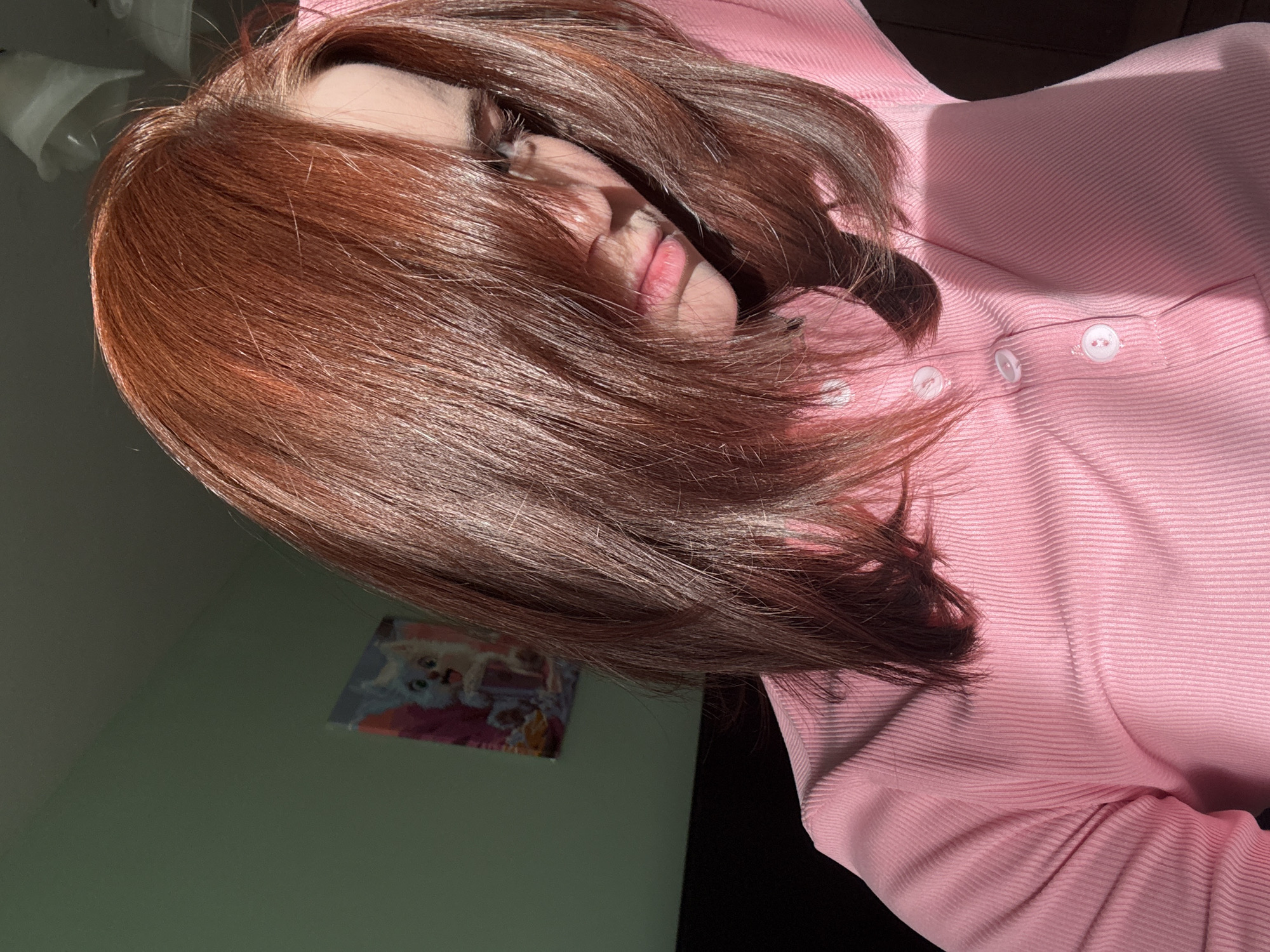The image depicts a person with auburn hair obscuring much of their face, leaving only their lips and part of their nose visible. The person is wearing a light pink, button-down shirt. The background includes a green wall with a small picture affixed to it, a ceiling light fixture, and a dark-colored surface. The location is Unknown, Russia.